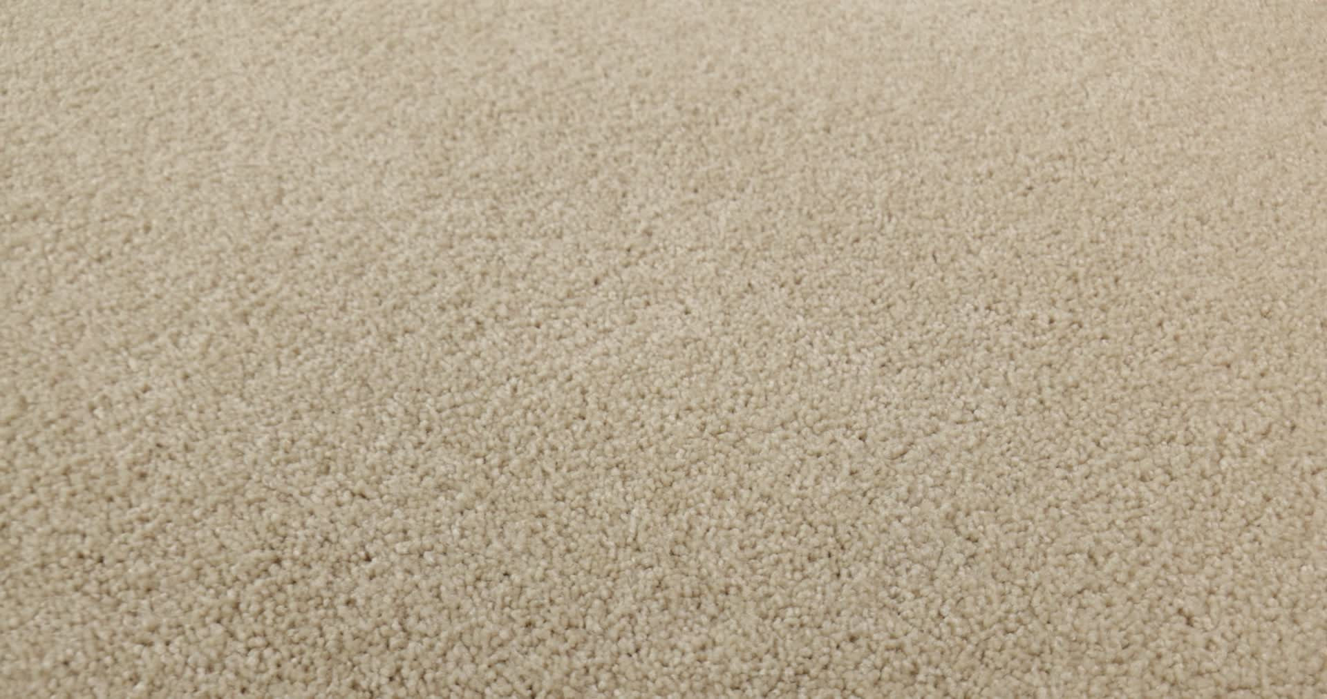 THAT'S RIGHT SANDY SHORE 360PROD