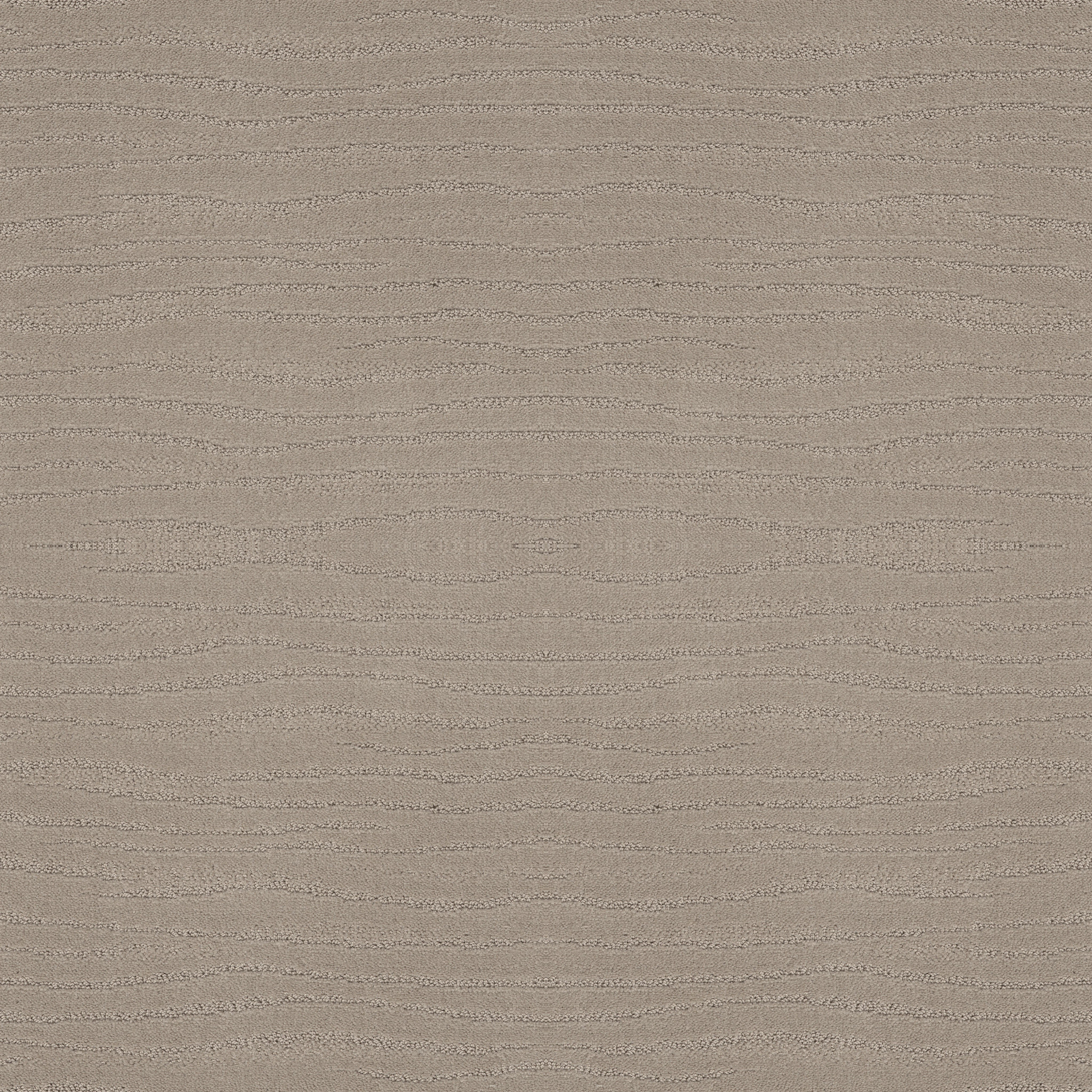 CAPISTRANO BIT OF GRAY MAIN