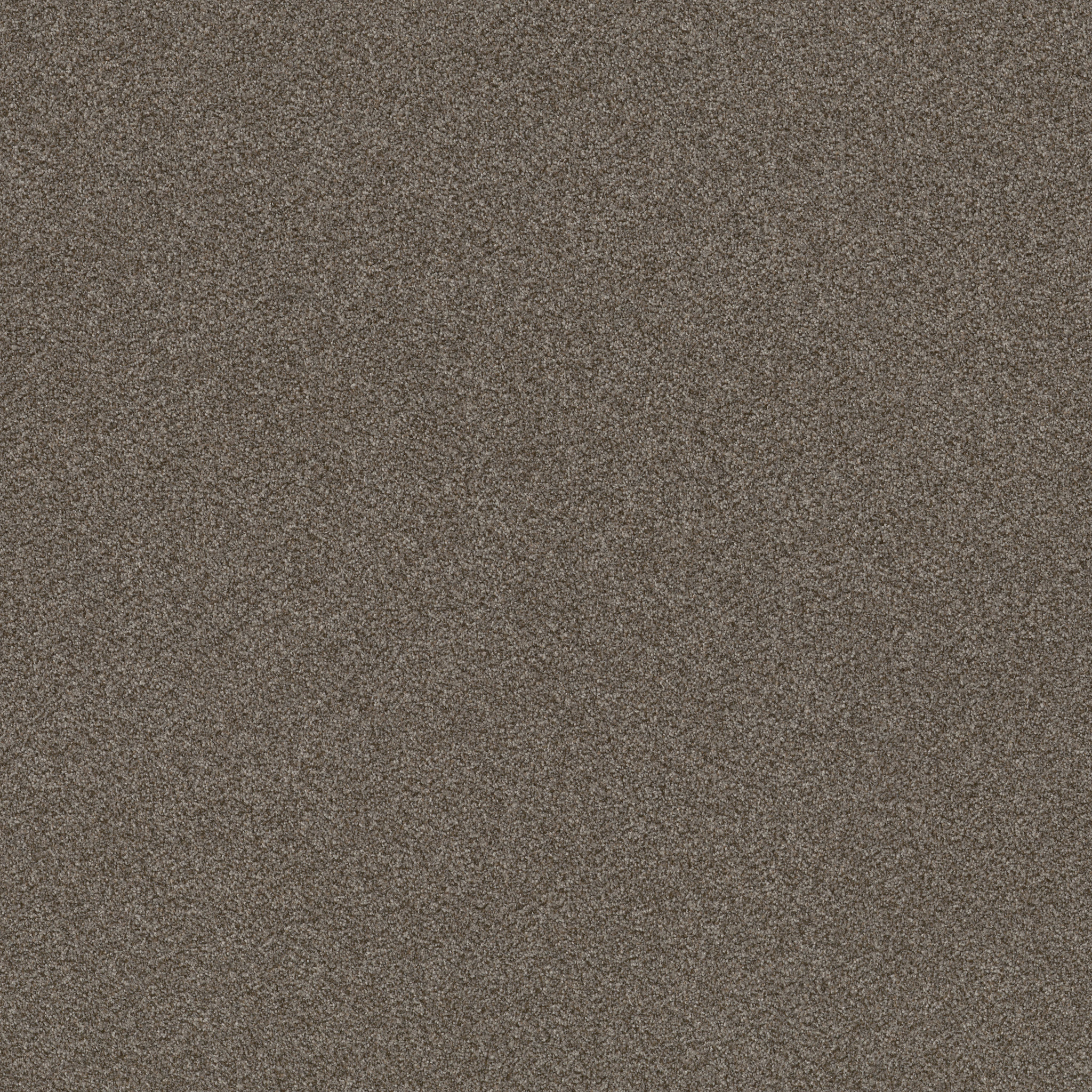 WITHOUT LIMITS III BOARDWALK MAIN