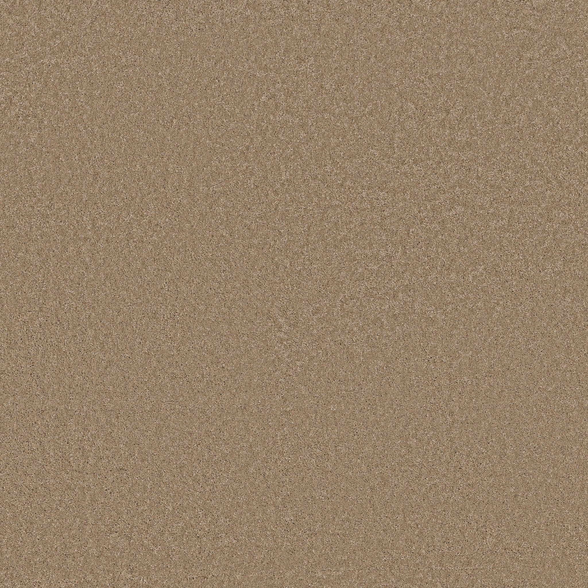 ENCHANTING BISCOTTI MAIN