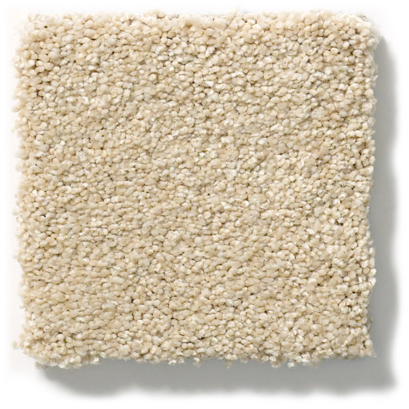 Find your comfort I - Solid SUN KISSED (S) SWATCH