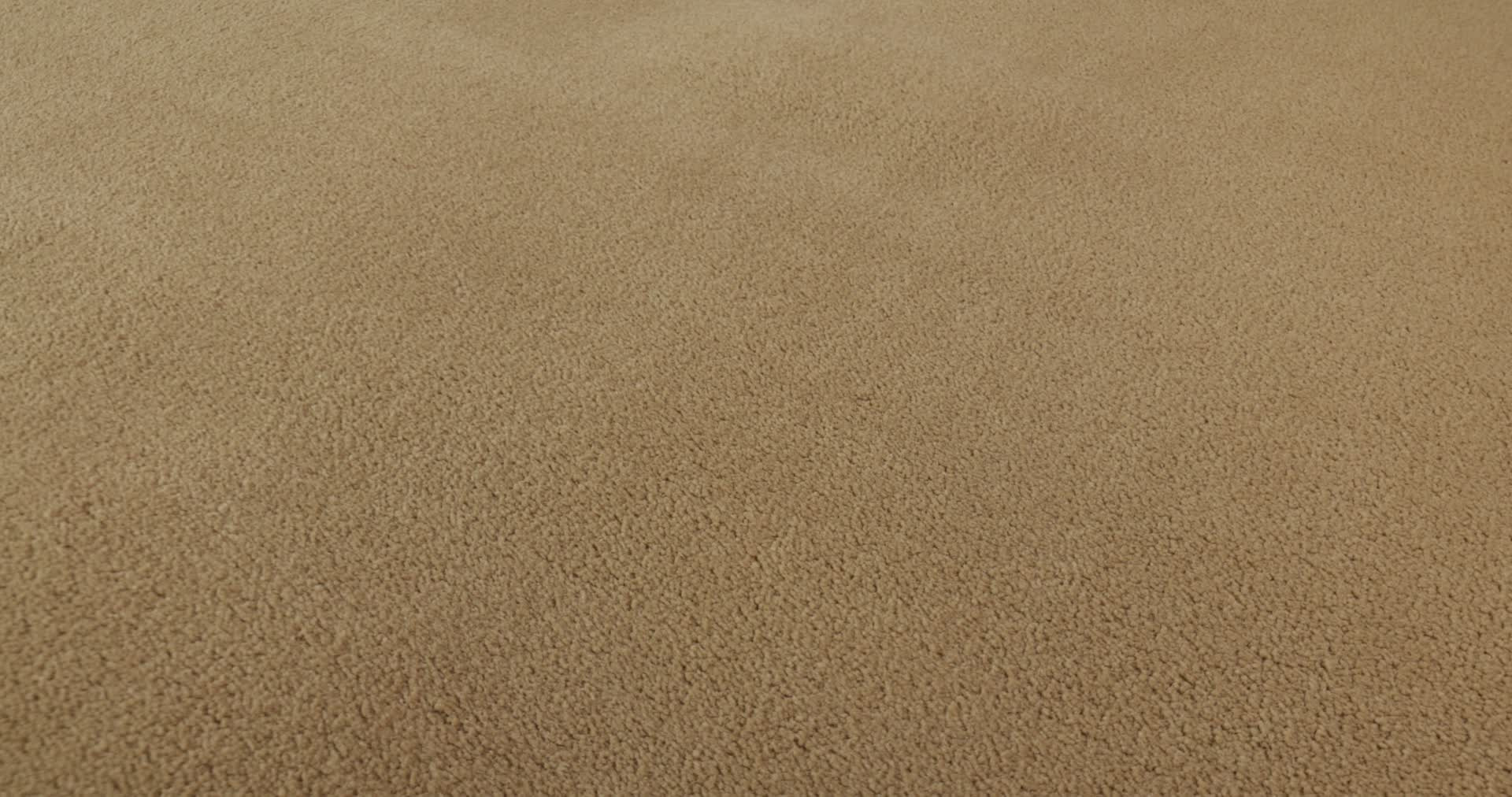 PERFECT CHOICE TAWNY BISQUE 360PROD