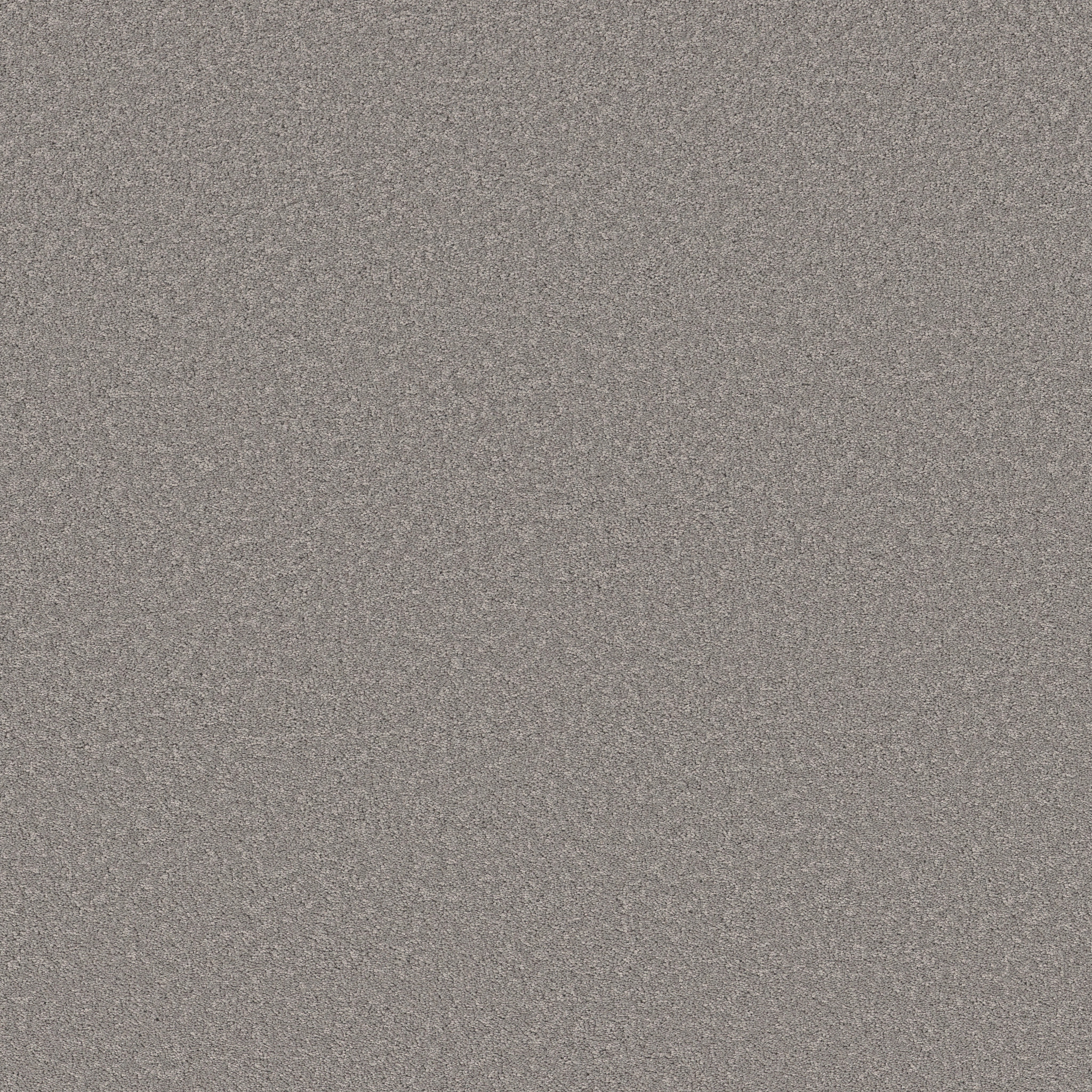 VELVET TOUCH II VINTAGE MAIN