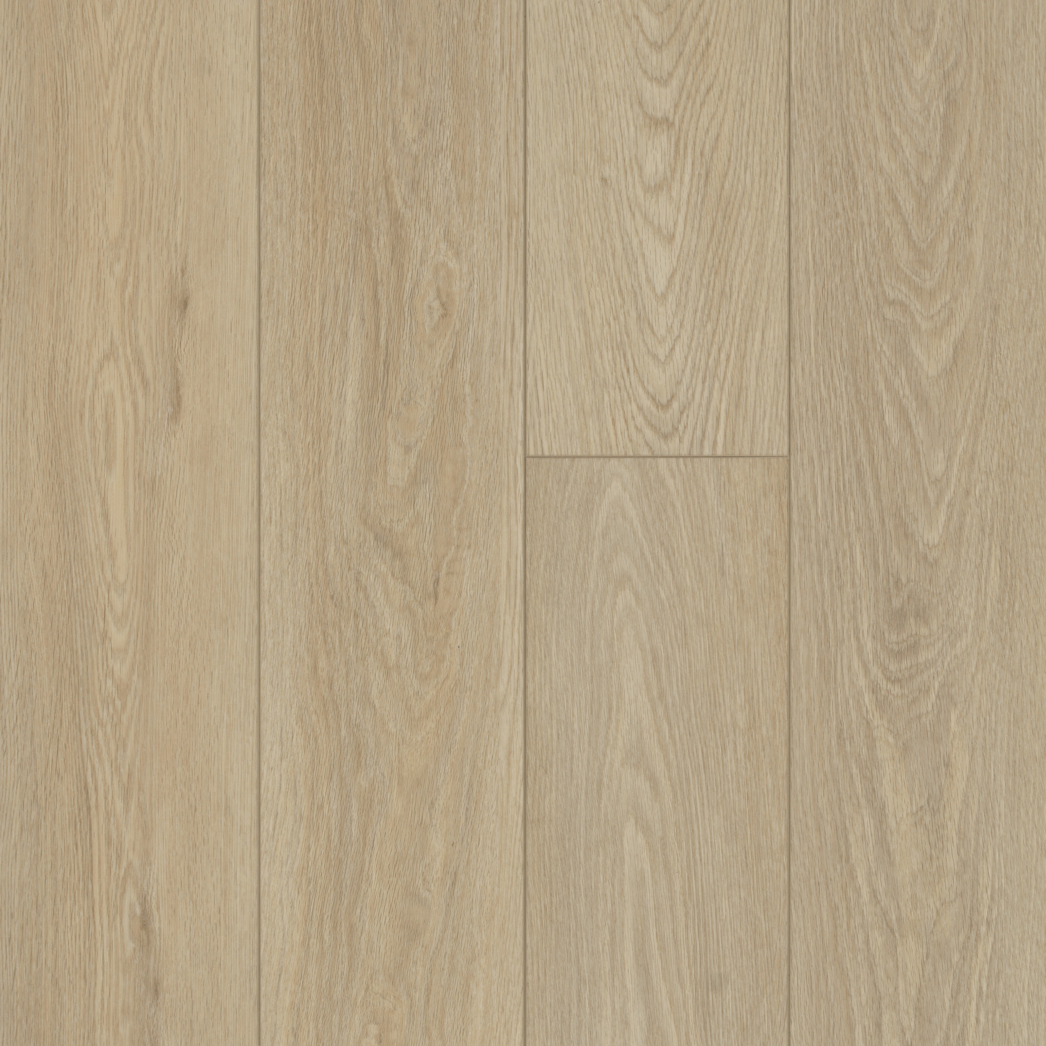DISTINCTION PLUS TIMELESS OAK MAIN