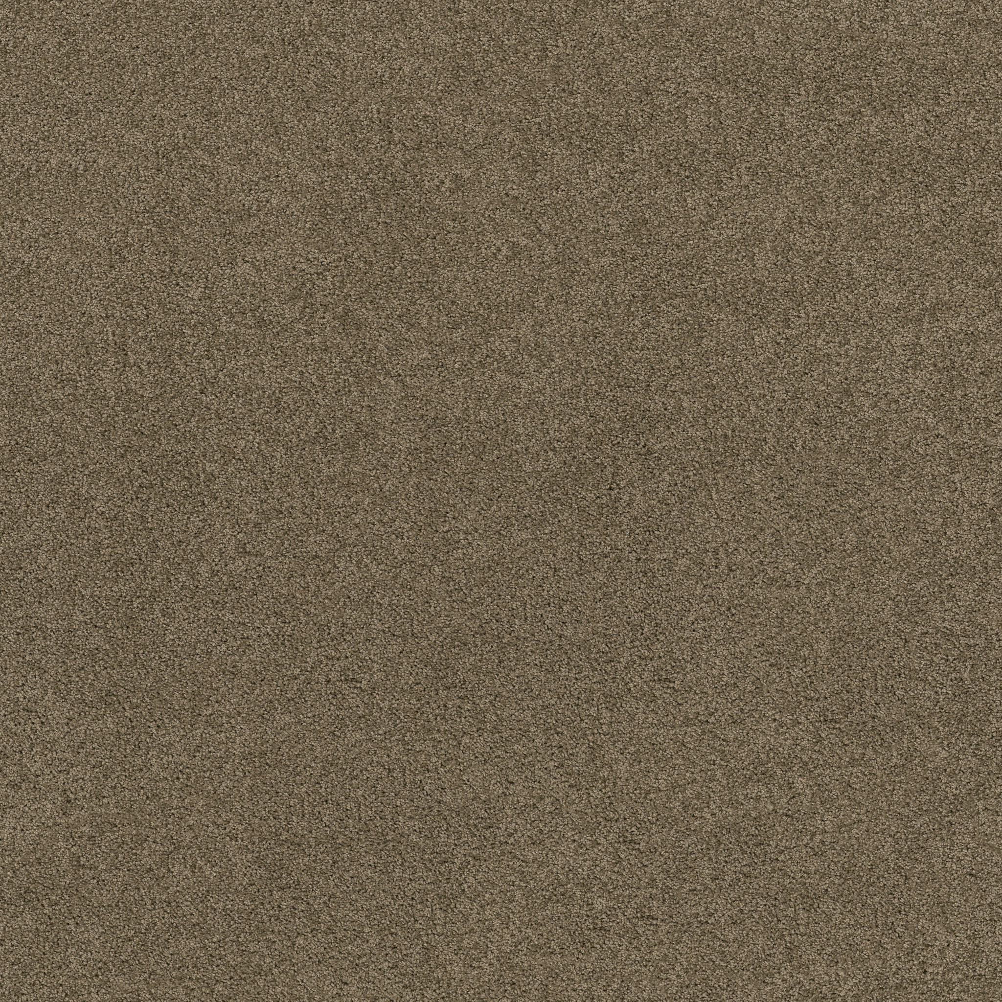 BEST BASICS TOWNHOUSE MAIN