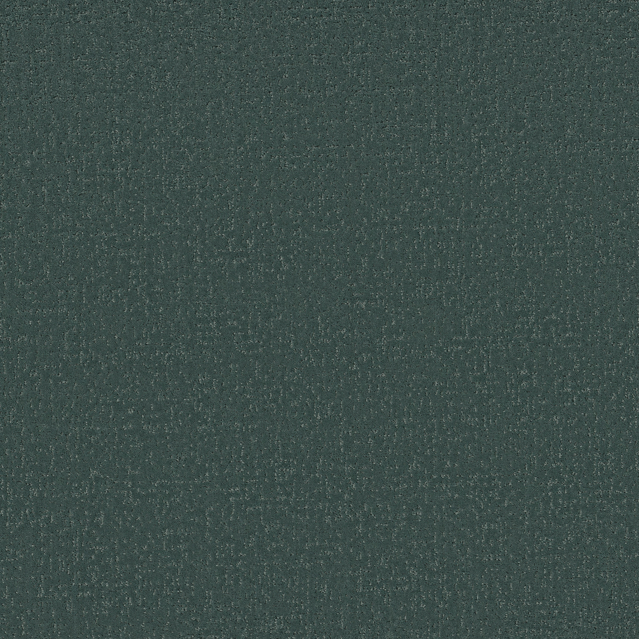 CANVAS COMFORT BLUE BOLD MOVES MAIN