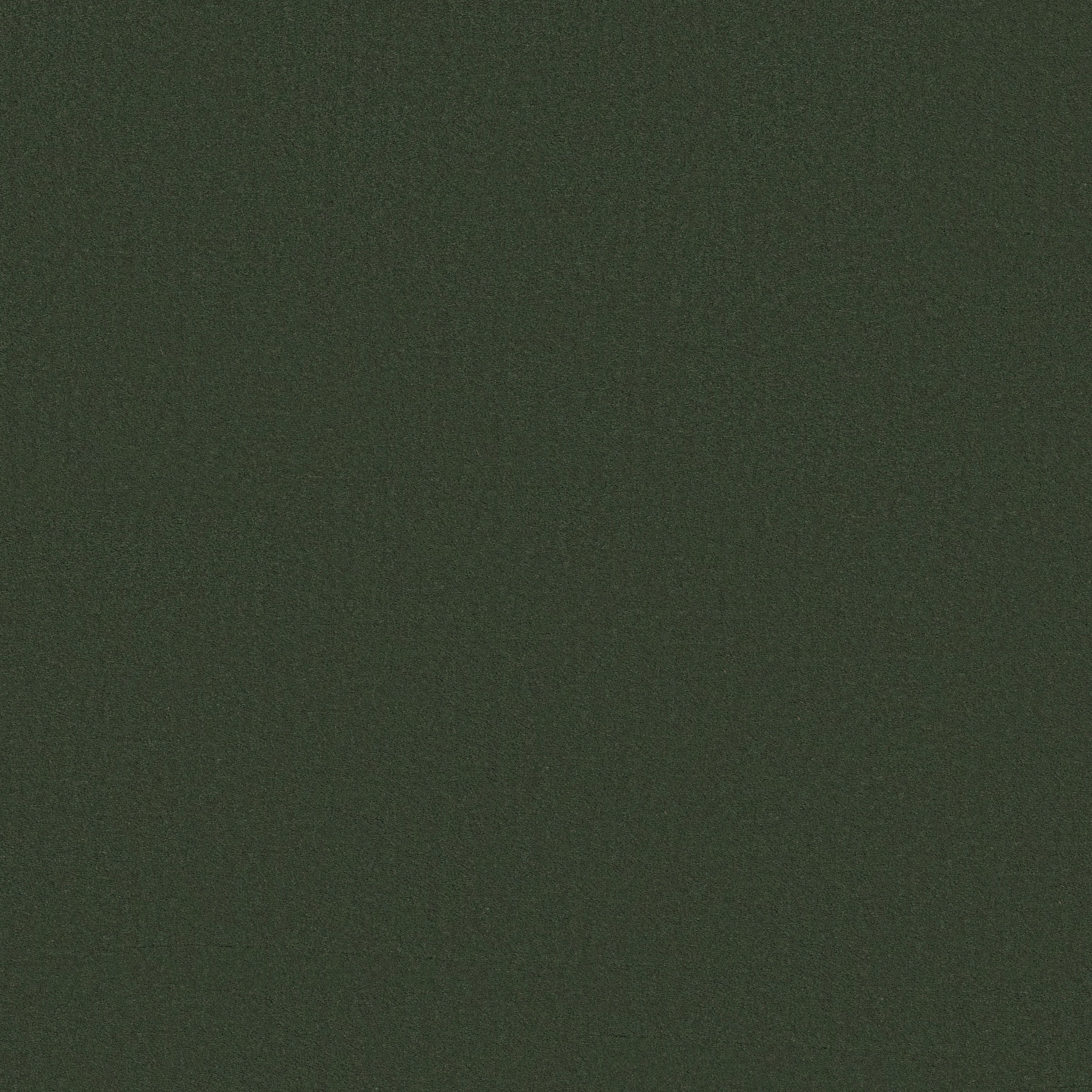 FINERY PALM LEAF MAIN