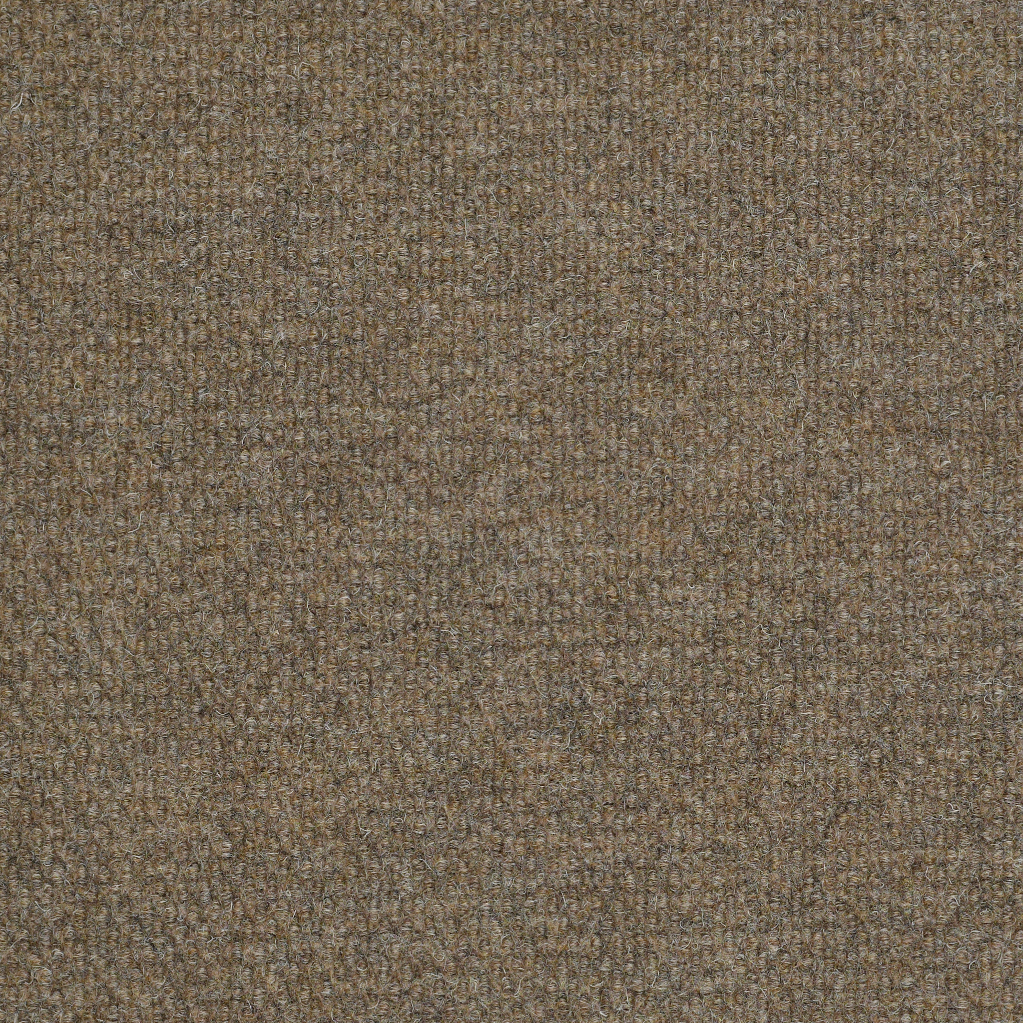 SUCCESSIONII-BL-54694-SIERRA-SAND-00700-main-image