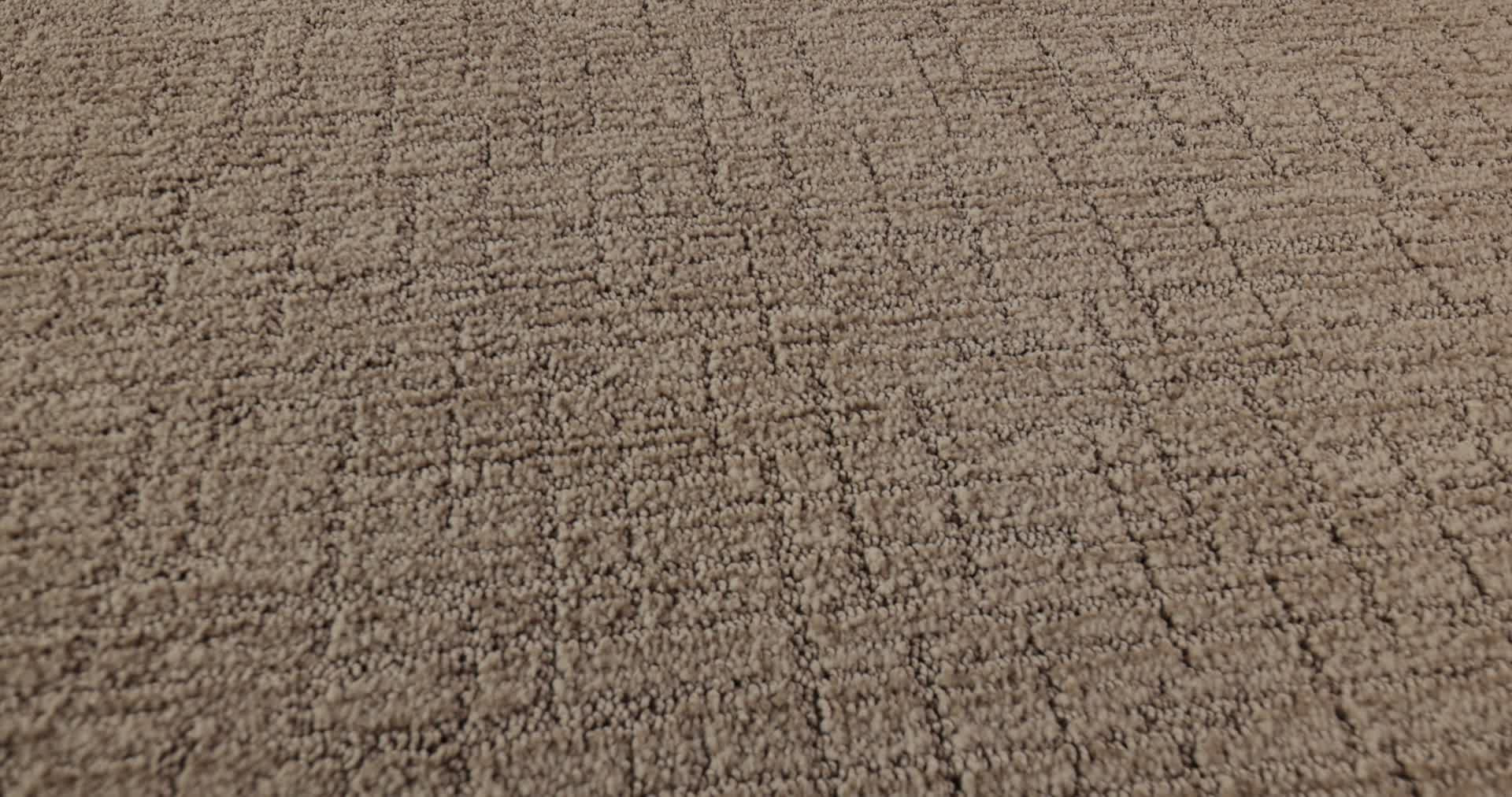 WANDERER DRIFTWOOD 360PROD