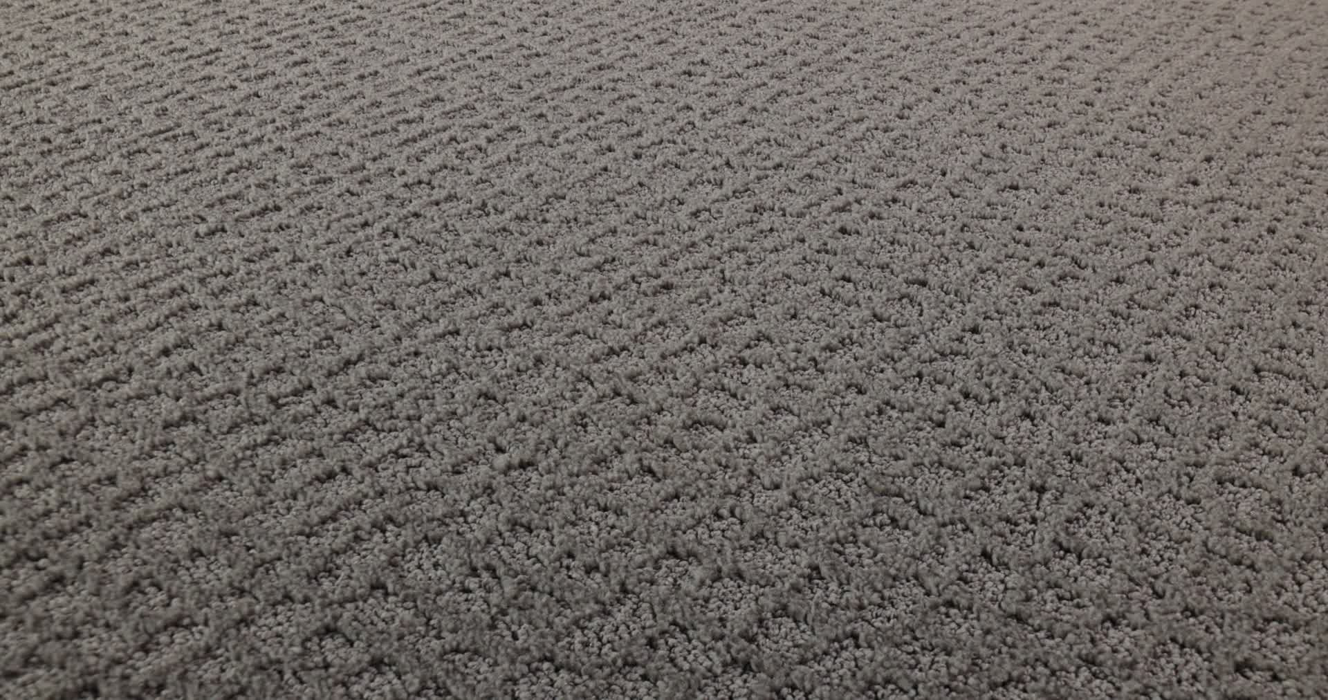 CHIC SHADES GREY FOX 360PROD