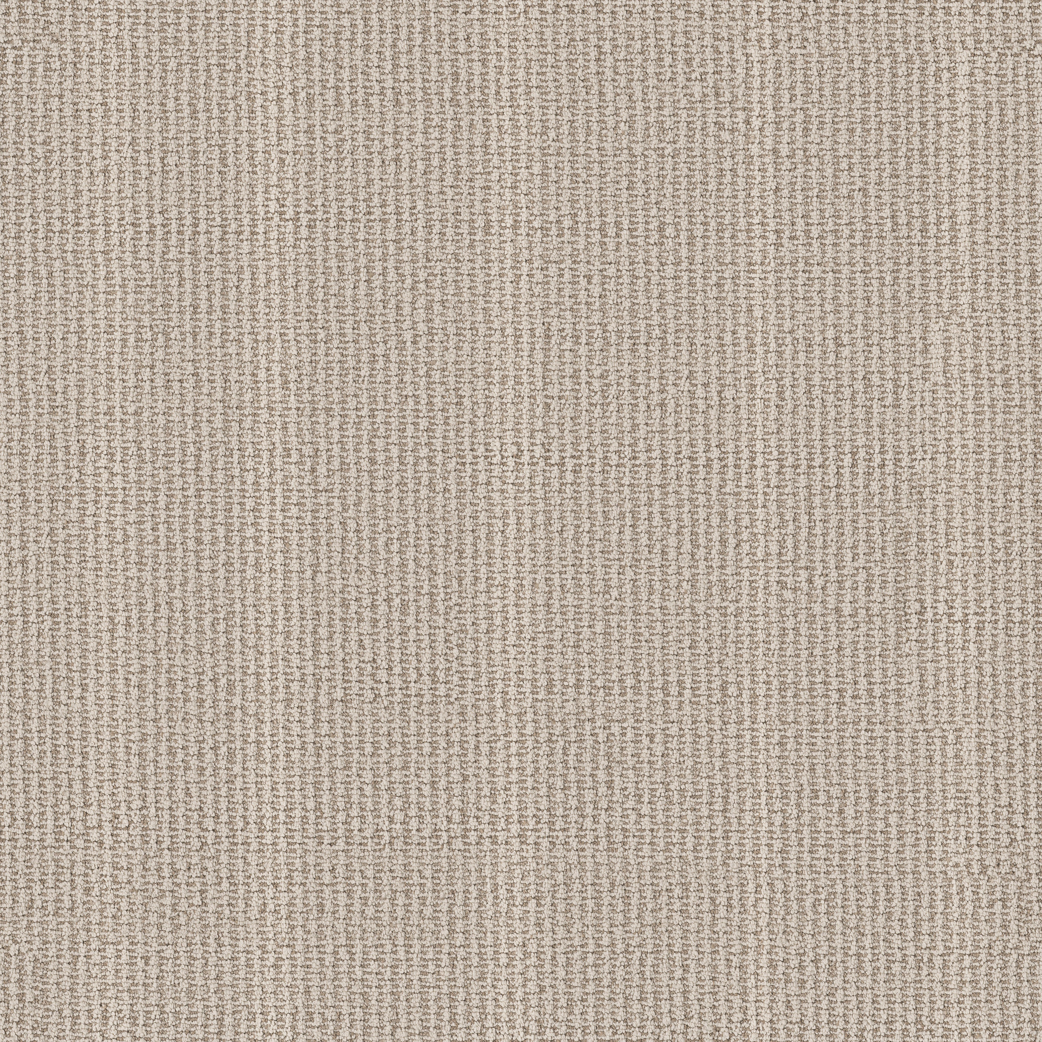 LAINE SAND DOLLAR MAIN