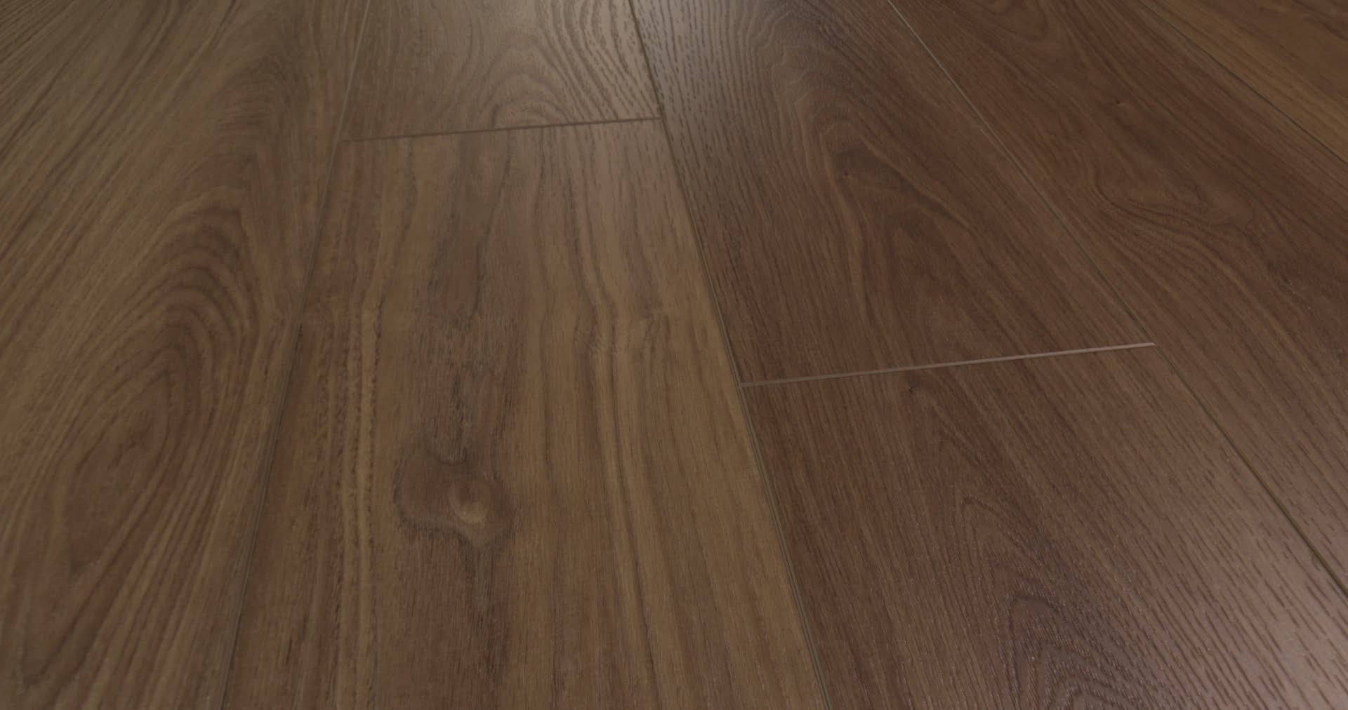 HOMEBOUND CINNAMON 360PROD