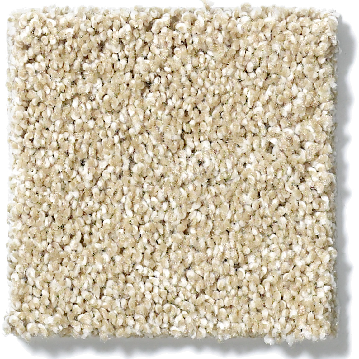 CANVAS FIELD STONE SWATCH