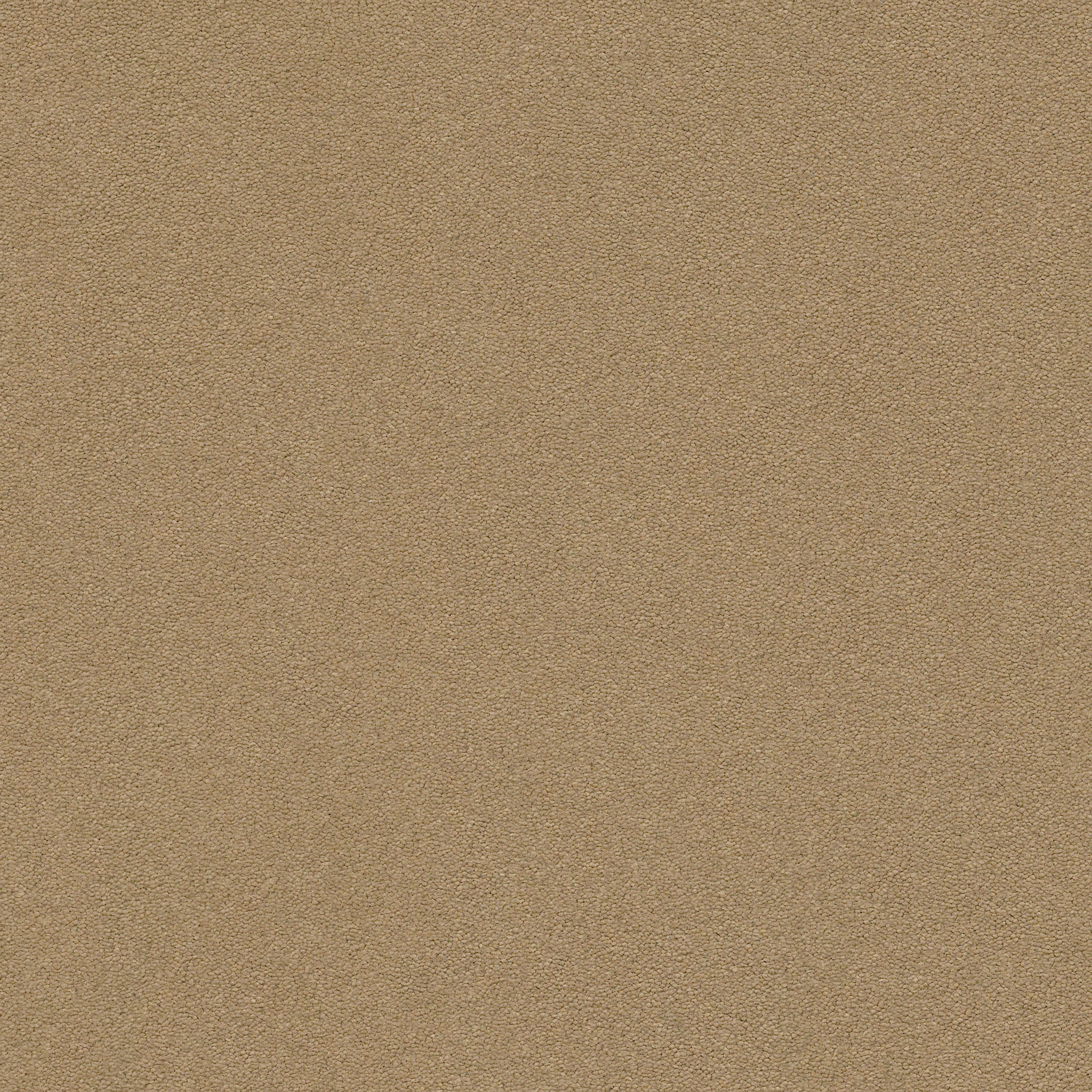 PERFECT CHOICE SCENERY MAIN