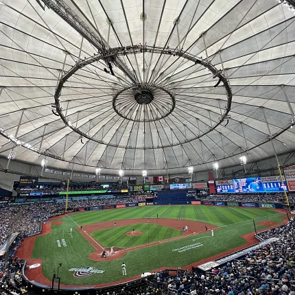 Artificial Turf Baseball Stadium Scene Indoor baseball stadium with artificial turf field and large crowd