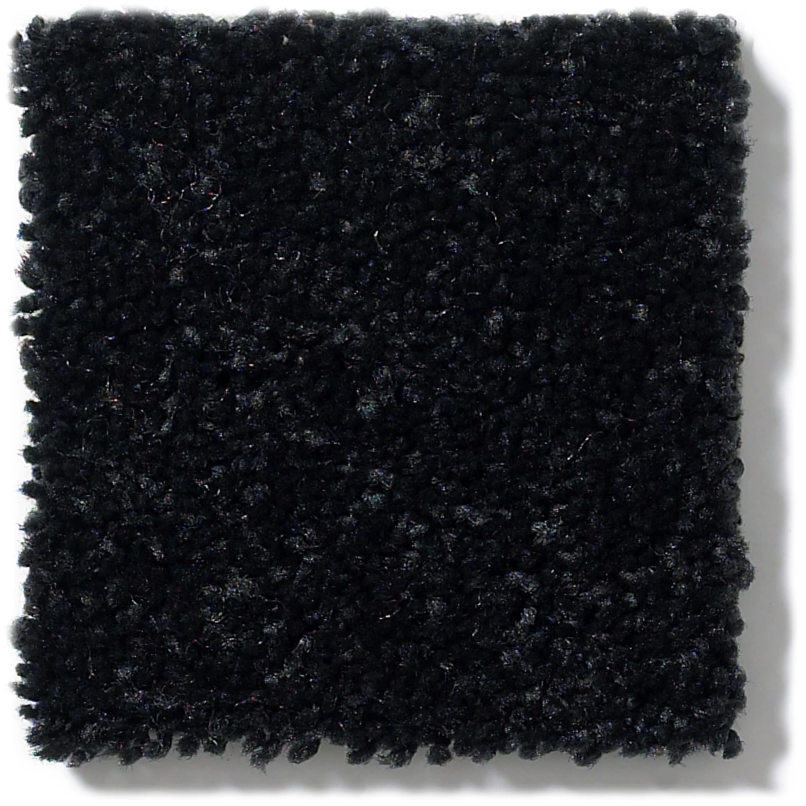 NEWBERN CLASSIC 12' COAL BLACK SWATCH