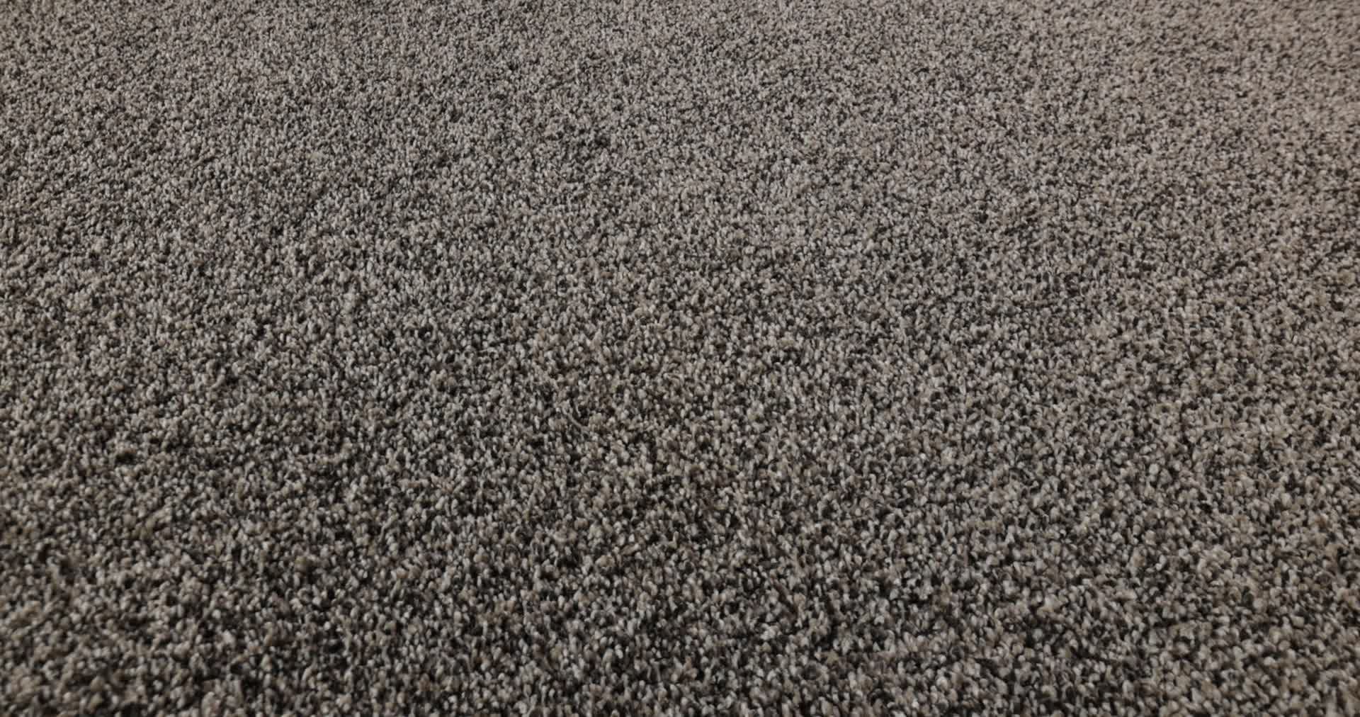 ARTISTIC FUSION II CAFE NOIR 360PROD