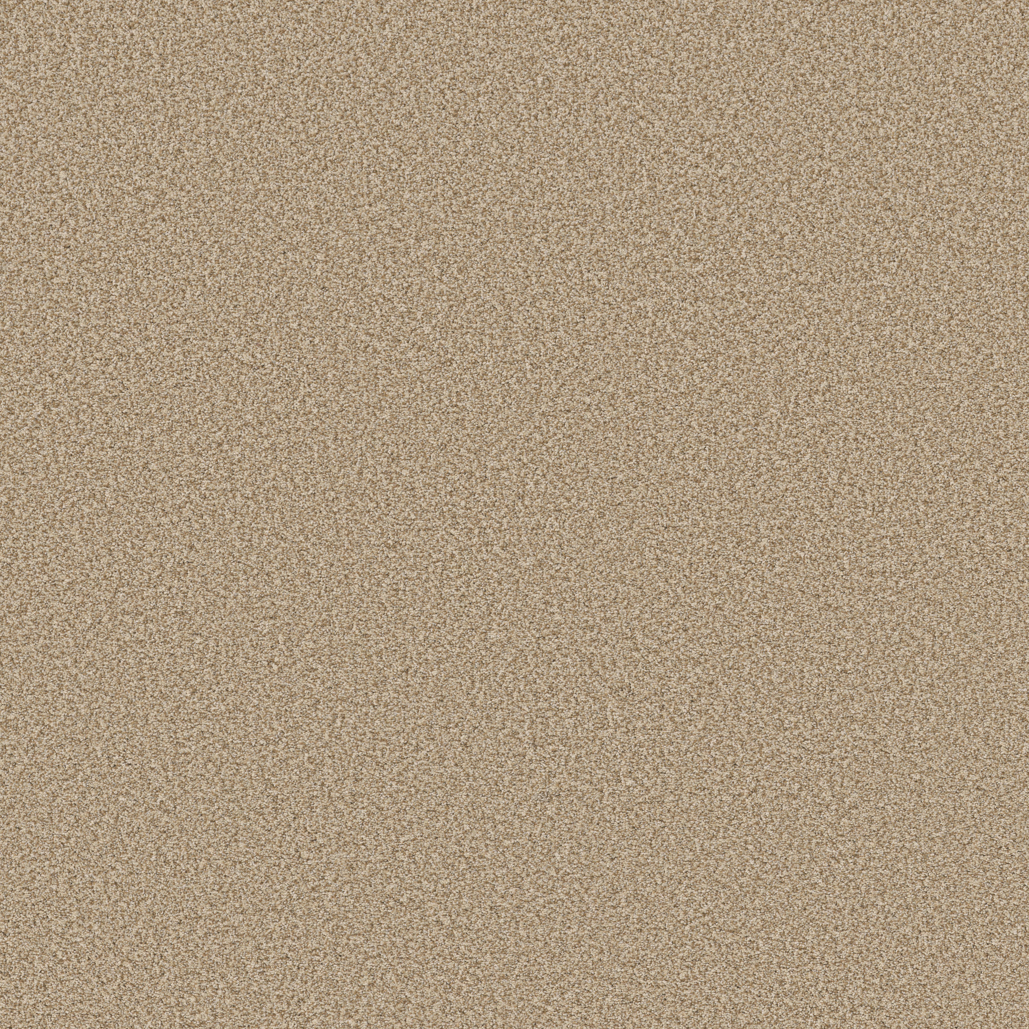 Avalon Bay - 100% ANSO® High Performance Nylon in Golden