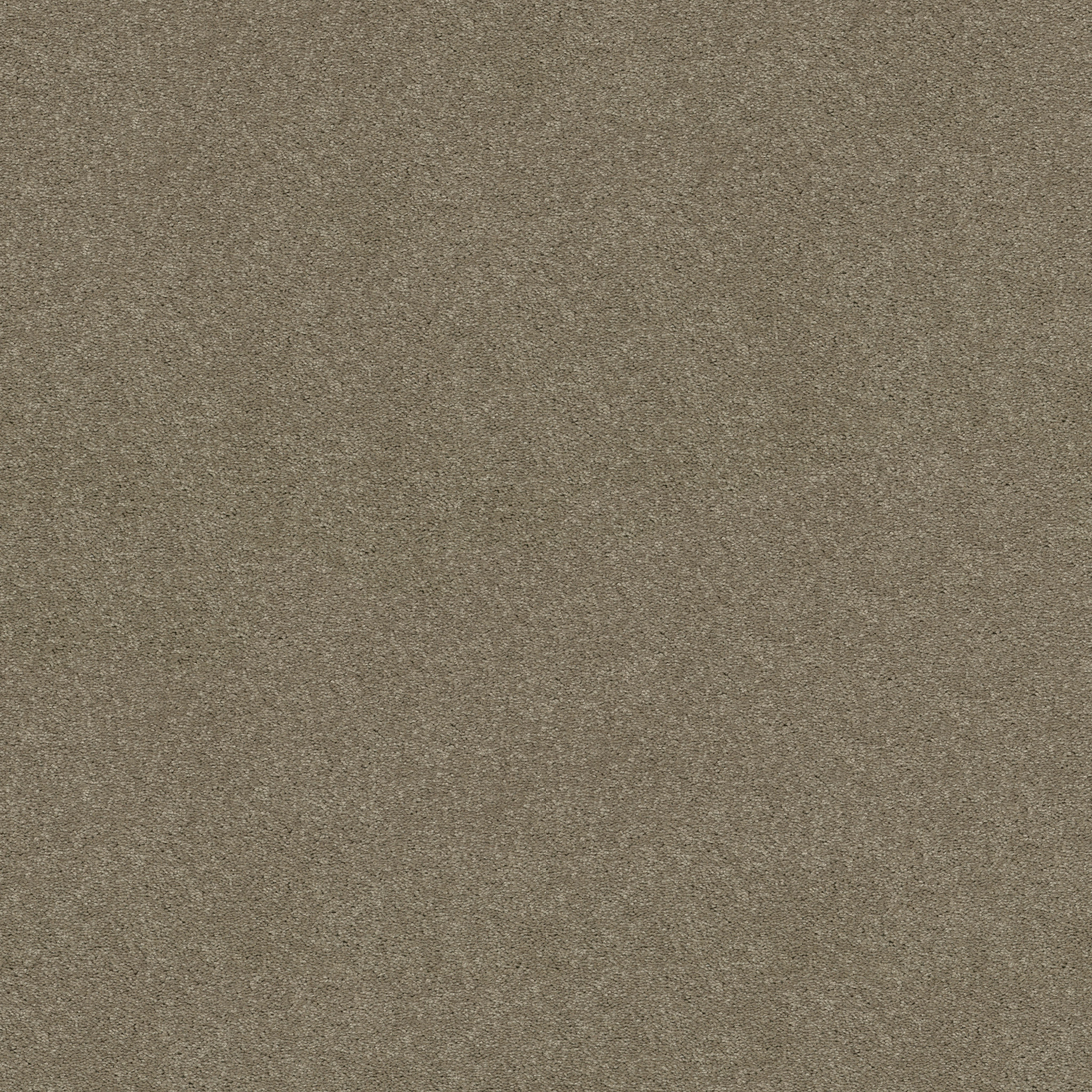 BEAUTIFULLY SIMPLE I 12 WILD RICE MAIN