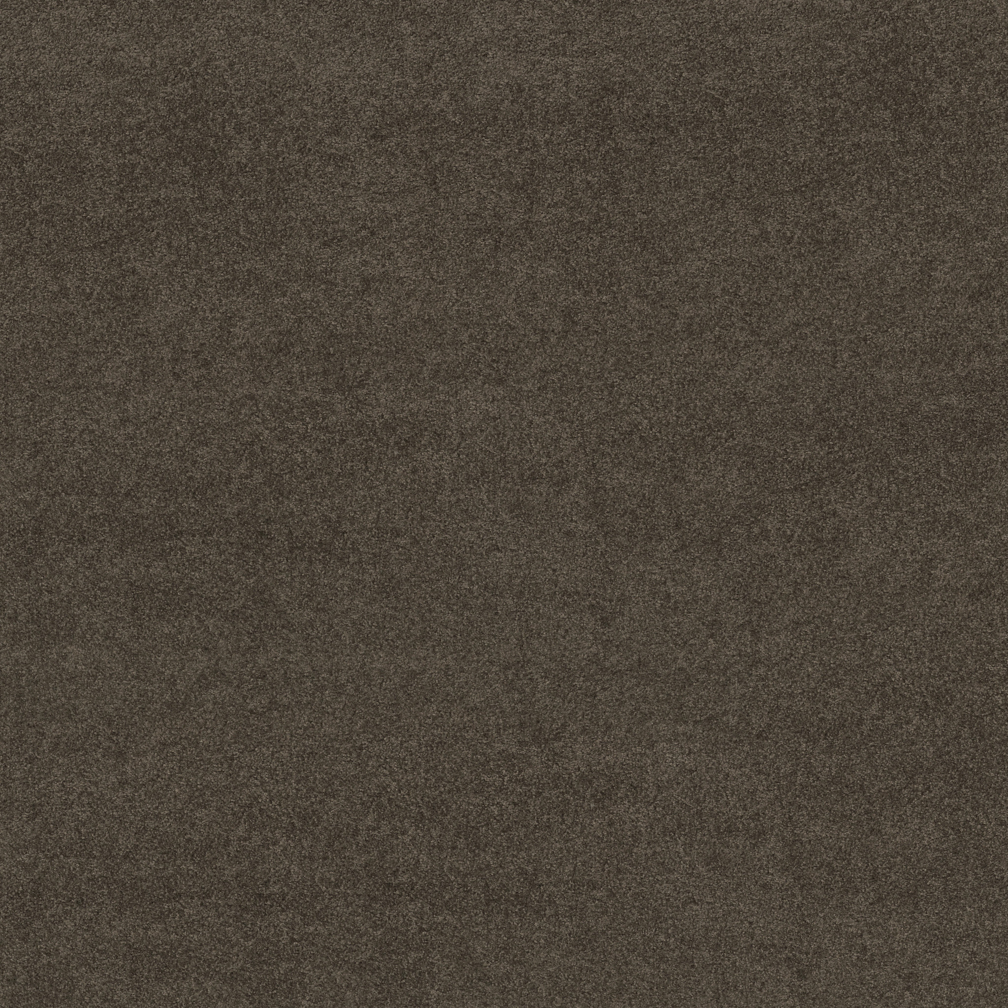 YOU KNOW IT CABOT TRAIL MAIN