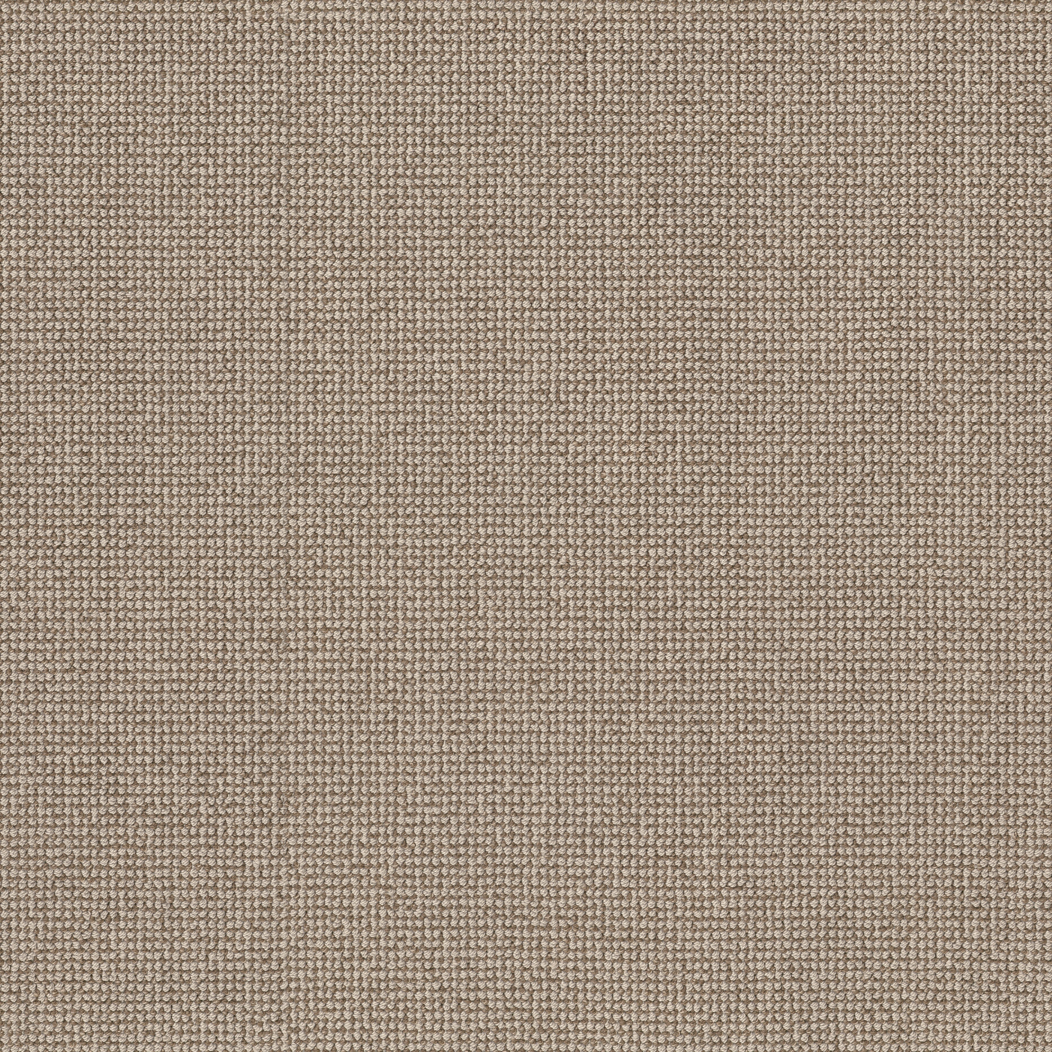 ALLURING RATTAN MAIN