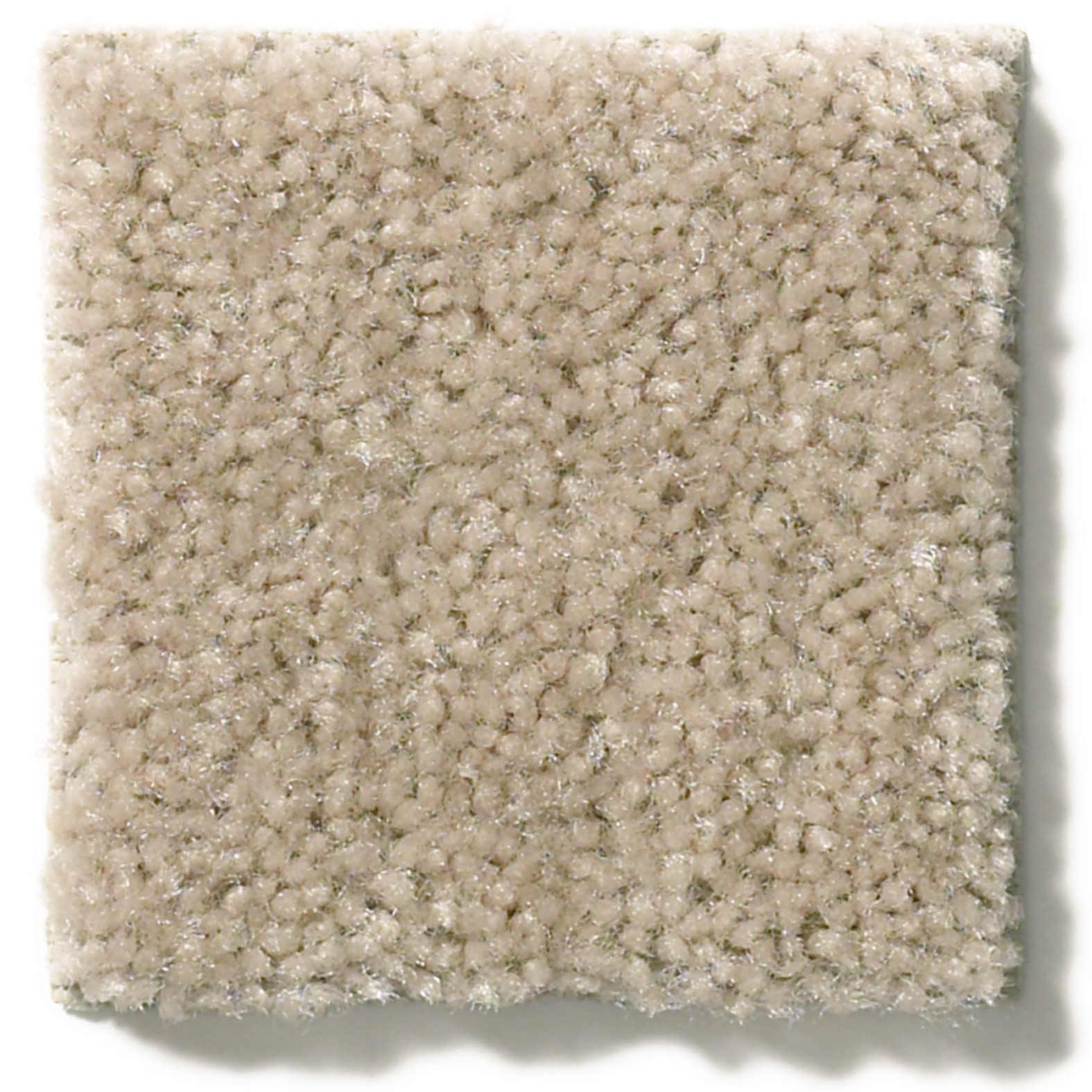 CASCADE II CHIPMUNK SWATCH