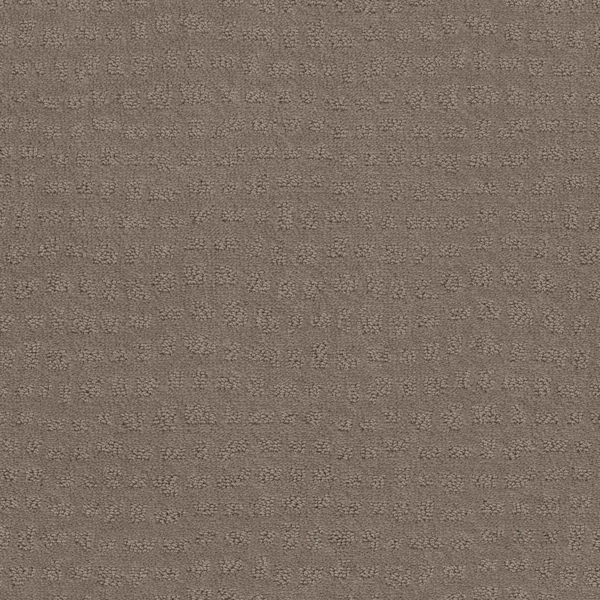 SOLSTICE SHITAKE MAIN