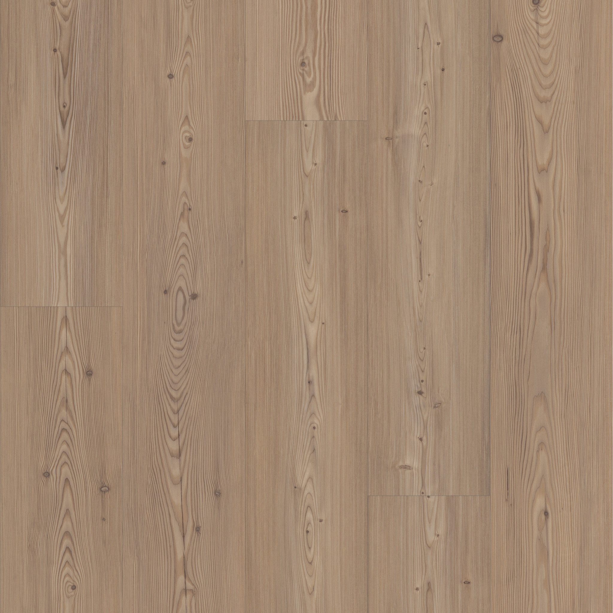 ASCENT NB LODGE MAIN