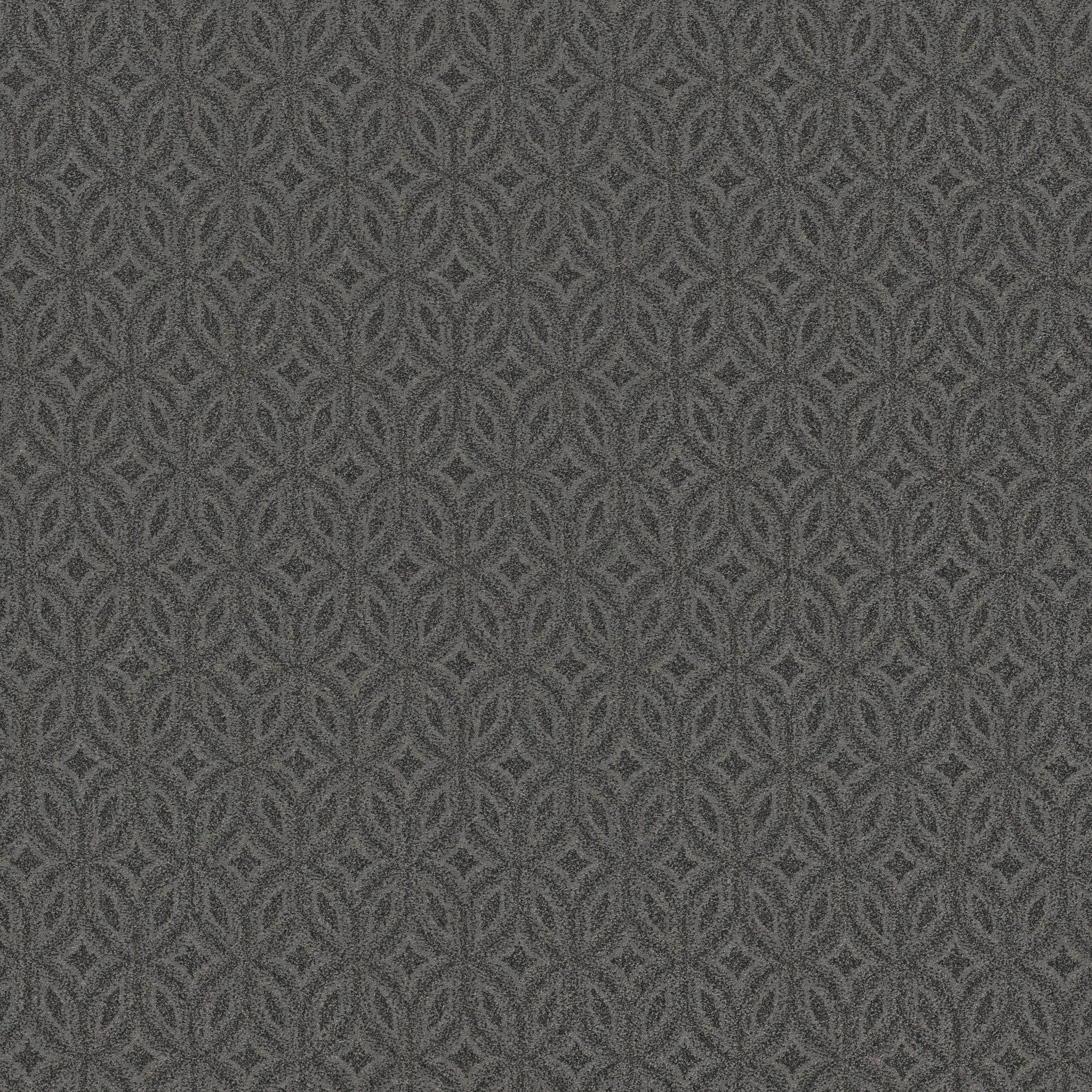 ENLIGHTENED IN THE SHADE MAIN