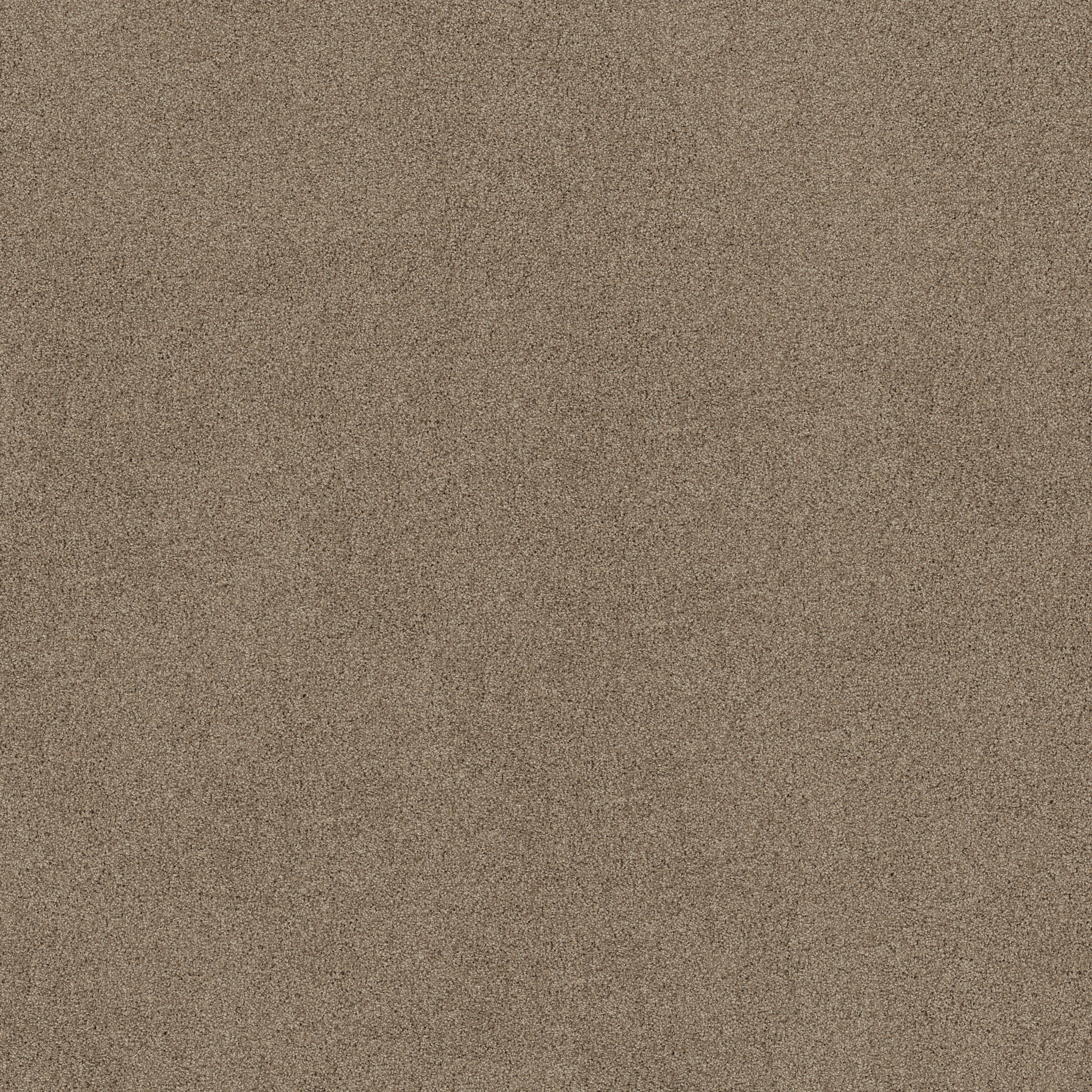 PARK HAVEN CARIBOU MAIN