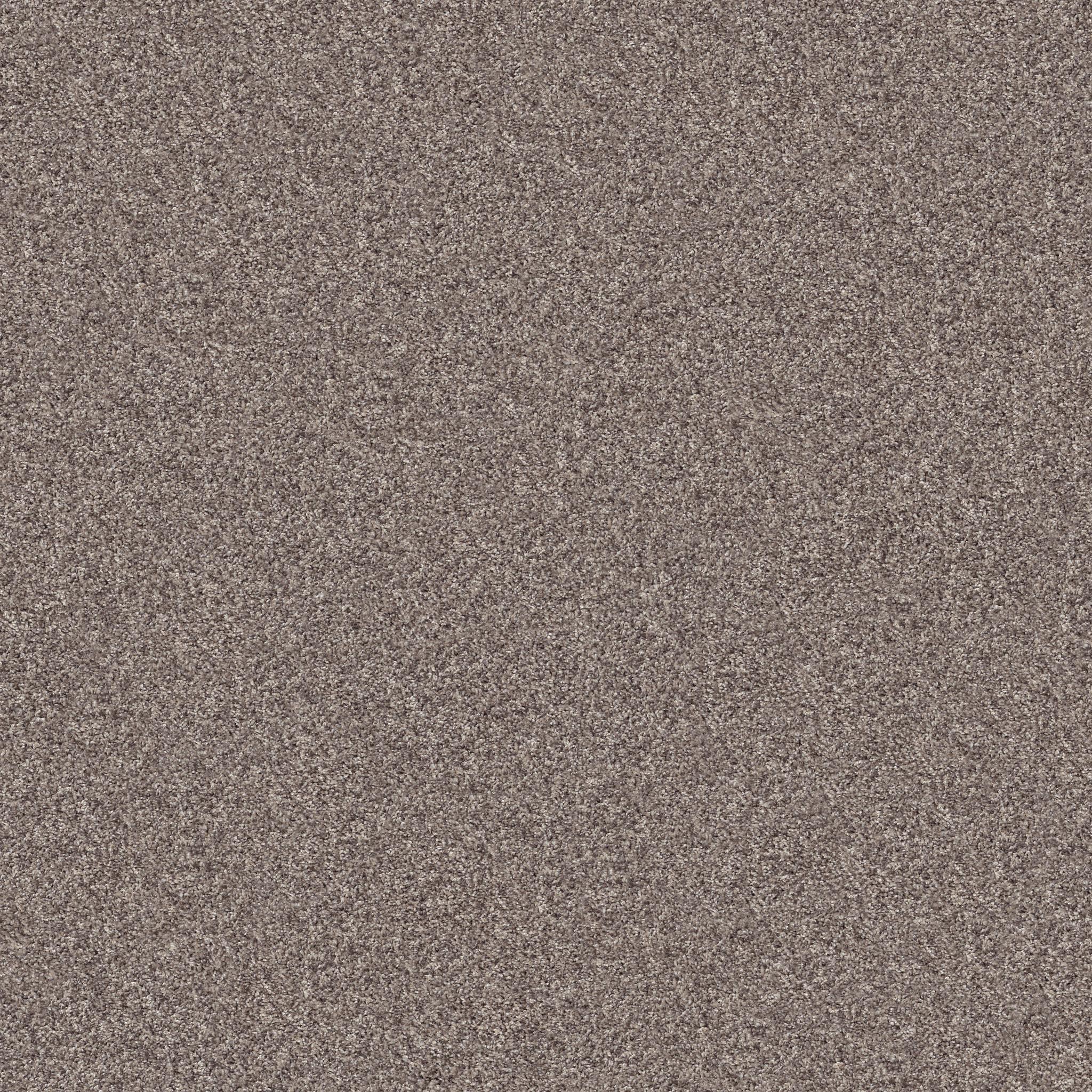 Inlet Shore 1 12' in Smooth Satin