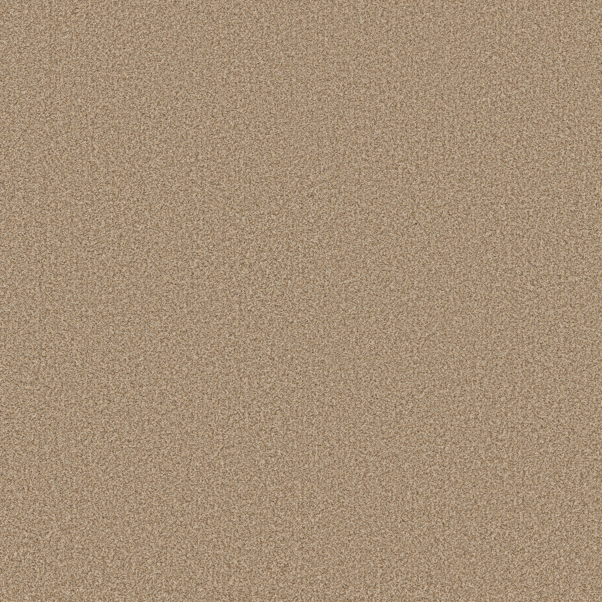 SOMERSET FILTERED MOON MAIN