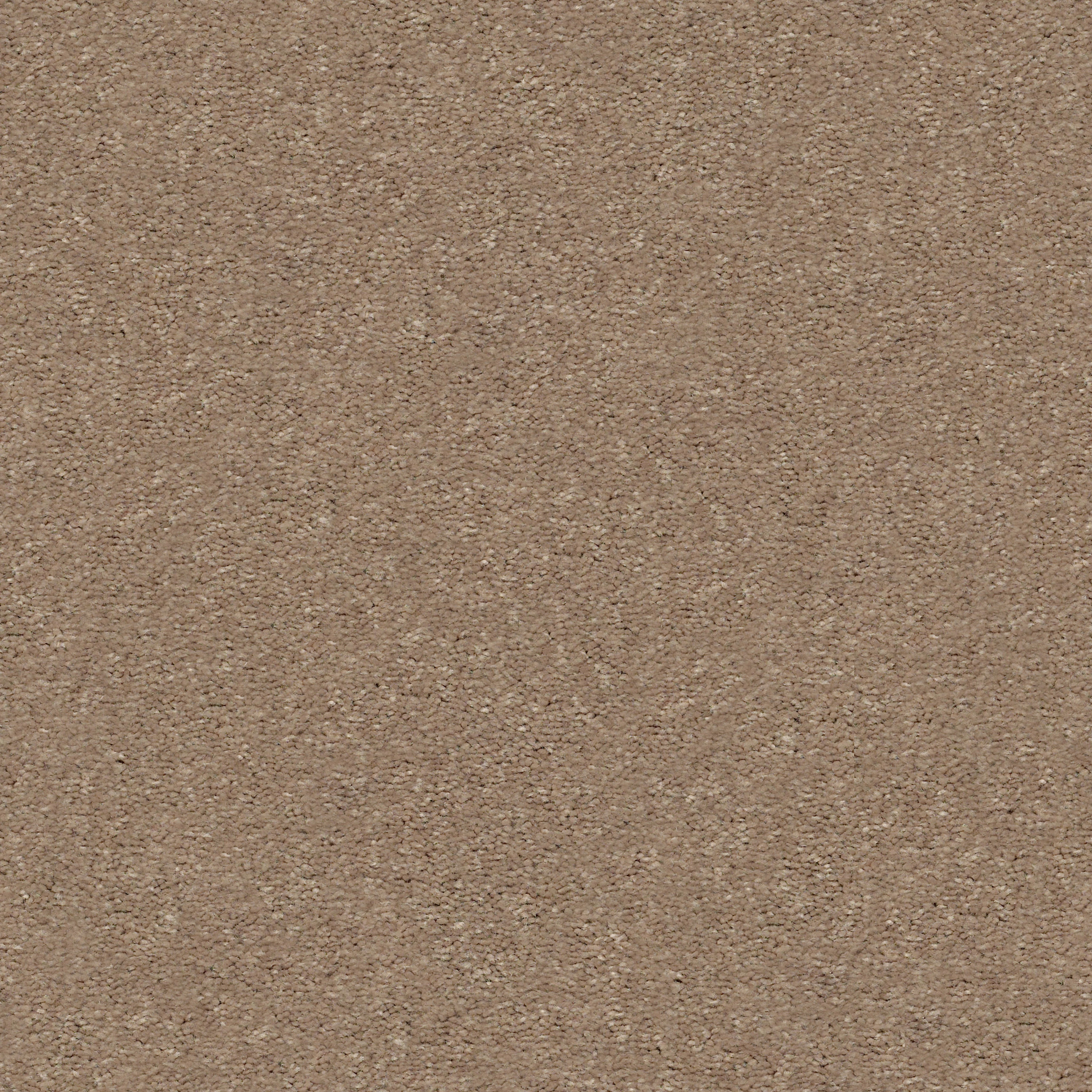 ATTAINABLE CORK SWATCH