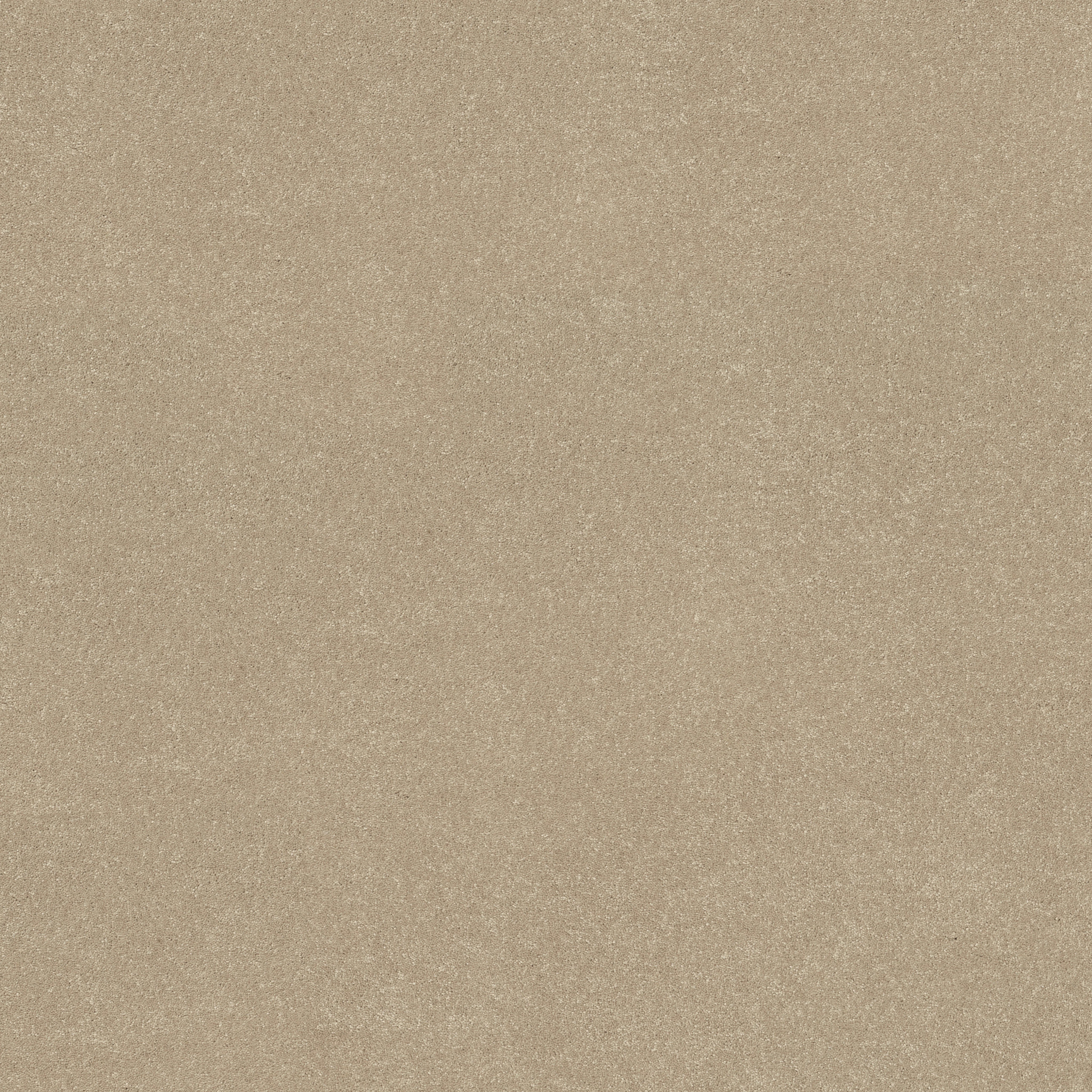 SOLIDIFY III 15' RAW LUMBER MAIN