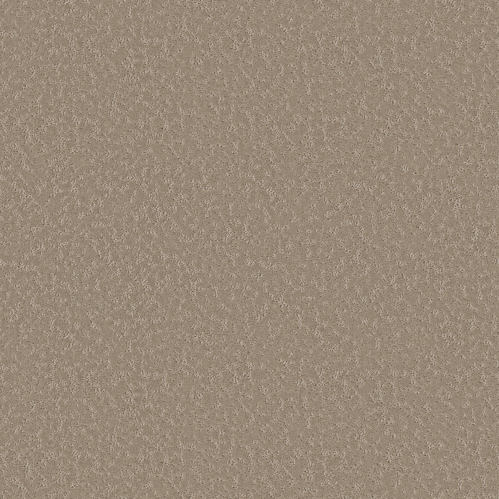 CLEVER CHOICE KINDLING MAIN