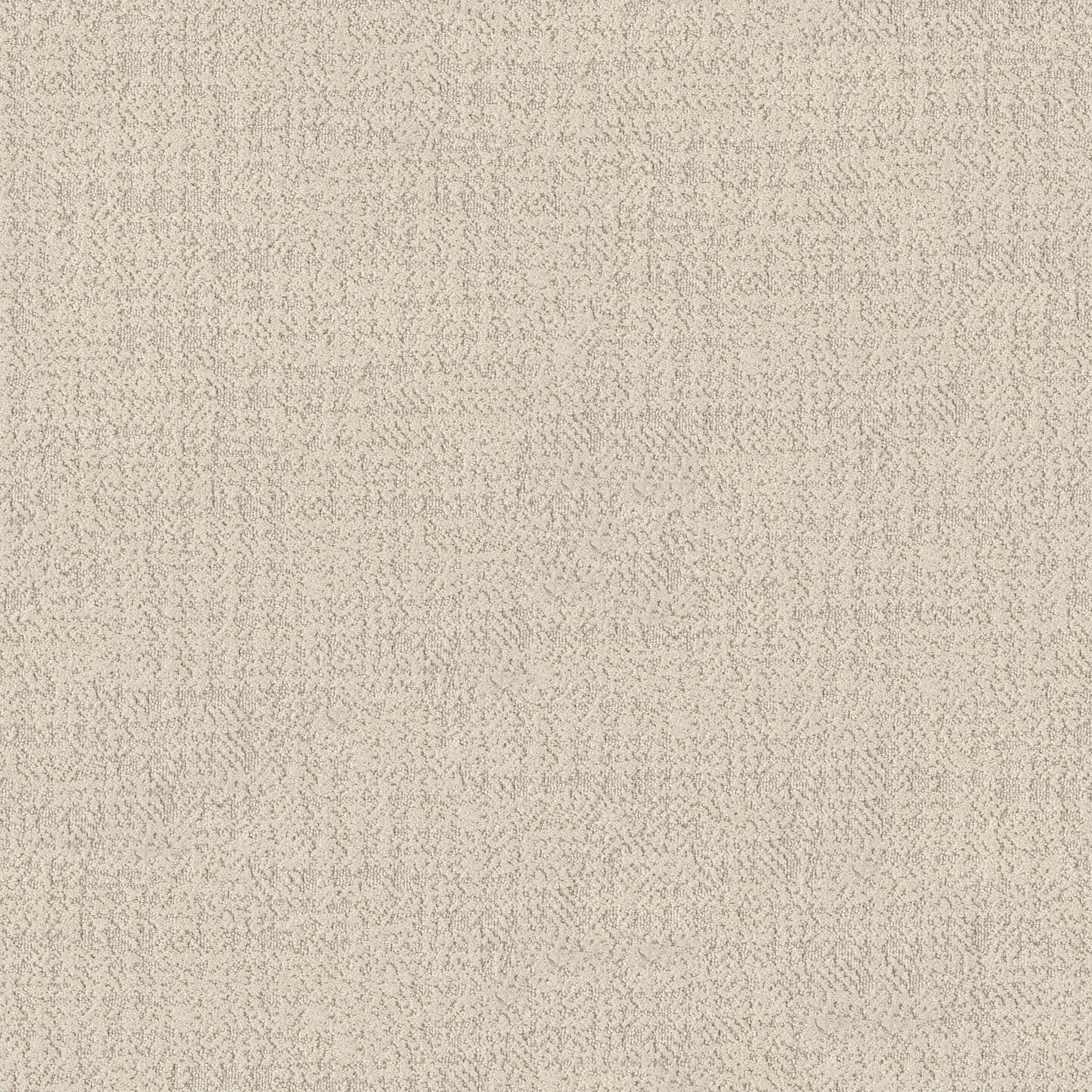 TAILORED CRAFT OXFORD MAIN