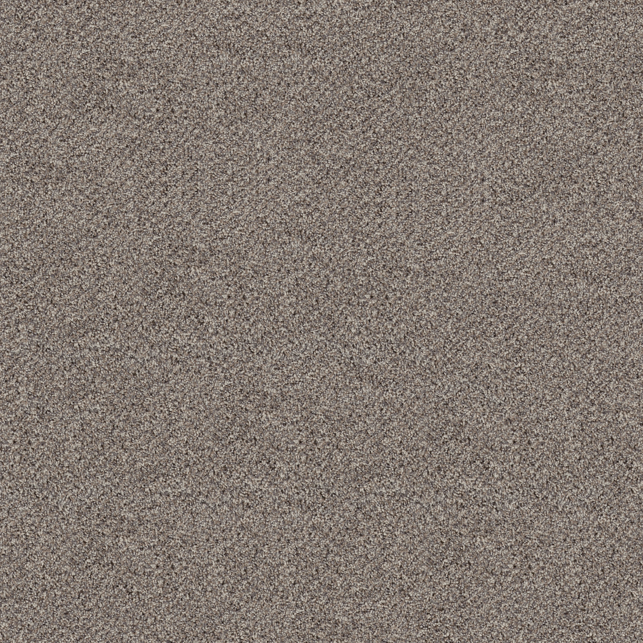 BREAK FREE DOVE FEATHER MAIN