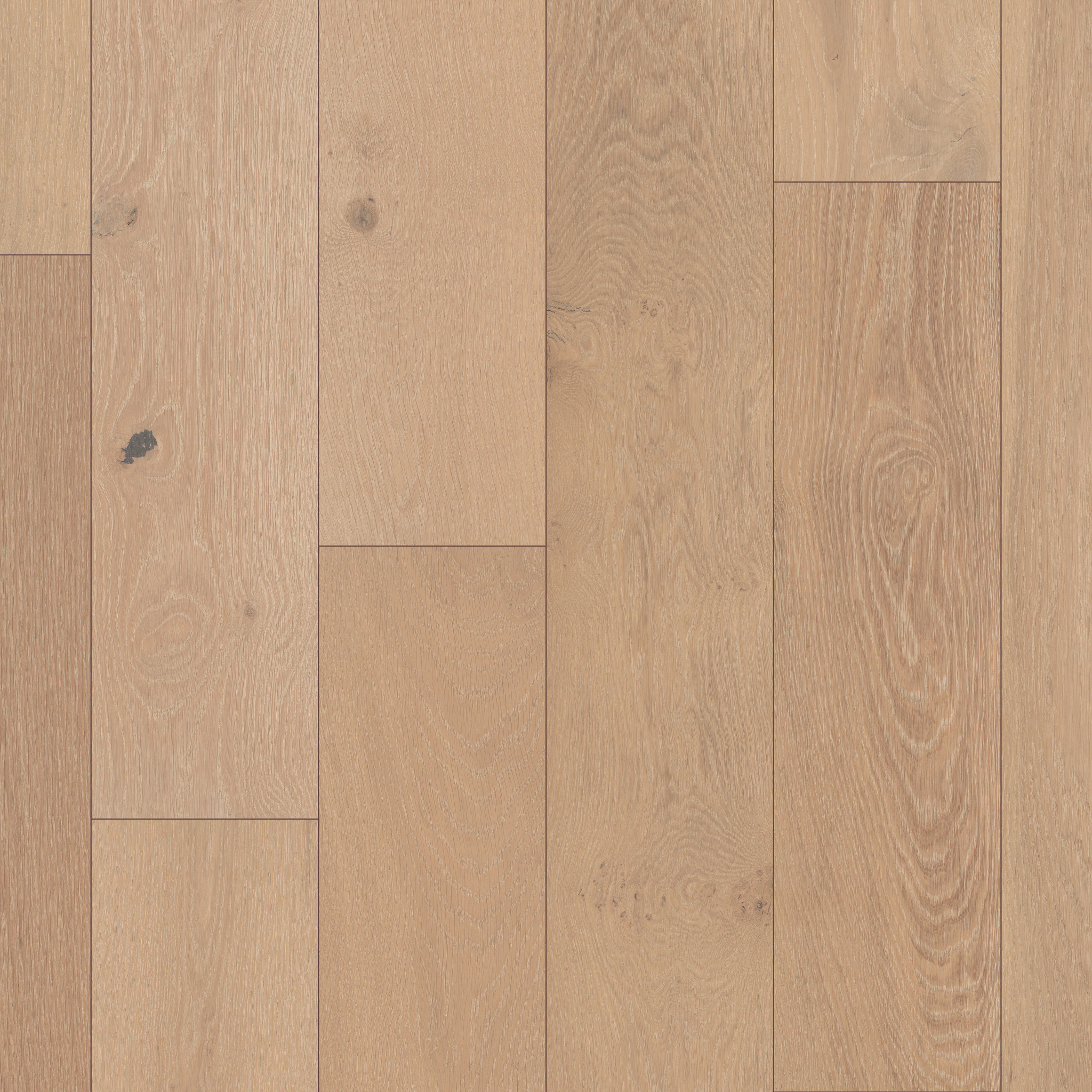 CONFECTION MERINGUE MAIN