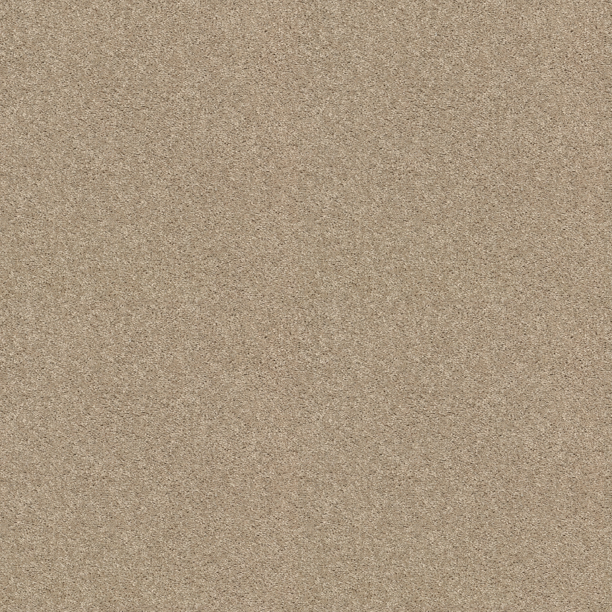 CHALLENGE ACCEPTED I 12' AGATE MAIN