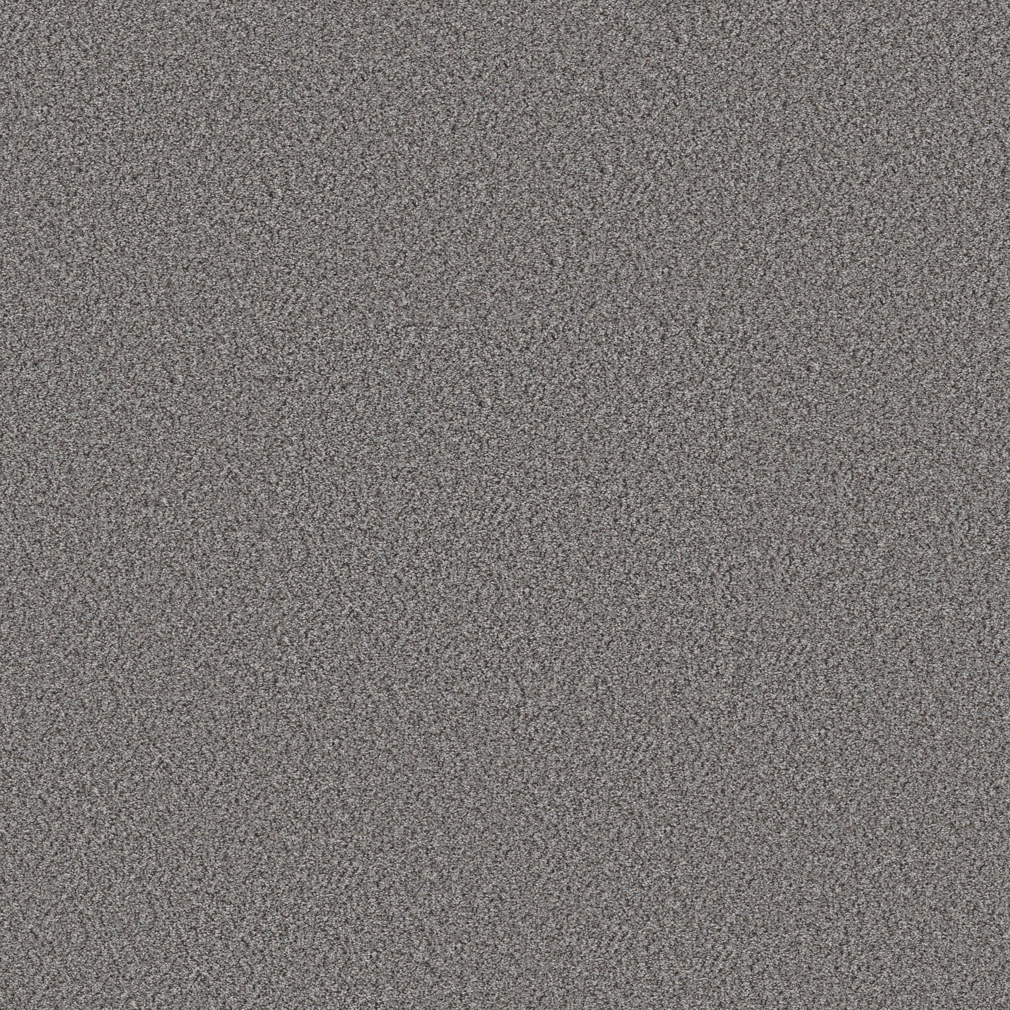 WITHOUT LIMITS II SILVER SPOON MAIN