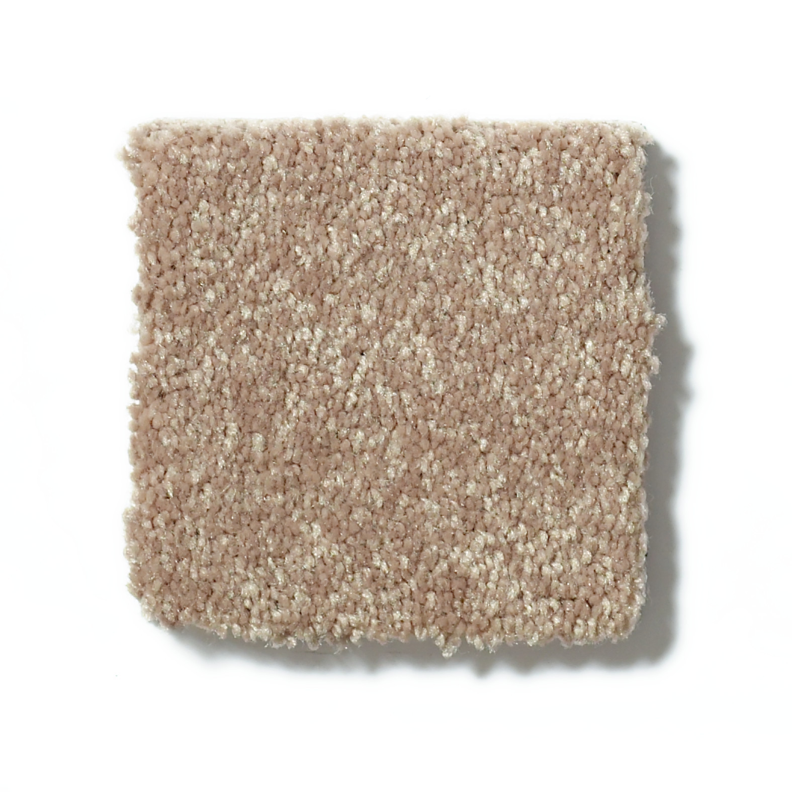 ROYAL PORTRUSH II 15 TASSEL SWATCH