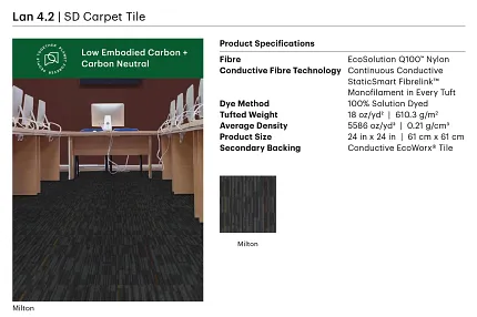 Lan 4.2 SD Carpet Tile in Milton - Commercial Carpet Tile for Education Facility Education facility with Lan 4.2 SD Carpet Tile in Milton color, featuring EcoSolution Q100 Nylon and StaticSmart Fibrelink technology, 24x24 inch size