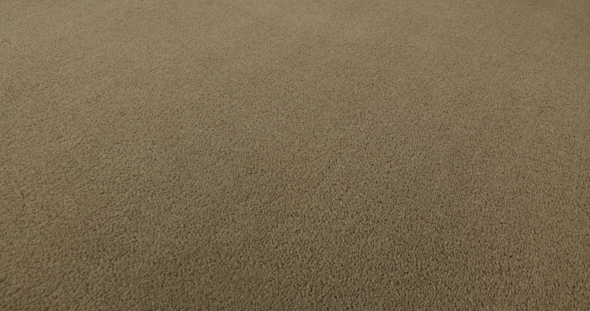 PERFECT CHOICE SCENERY 360PROD