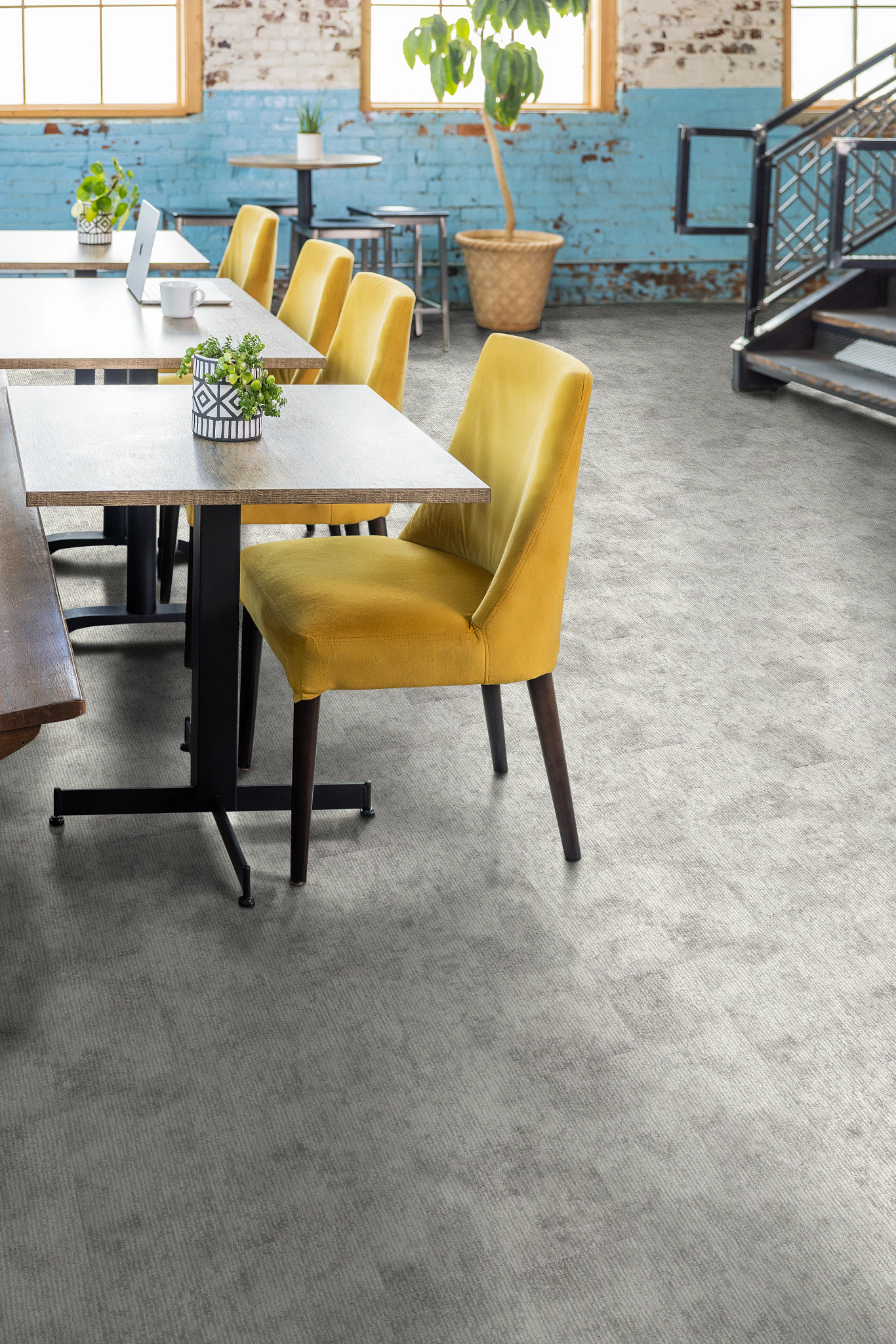 CODEX-5609V-MAGNETIC-05177-room-image