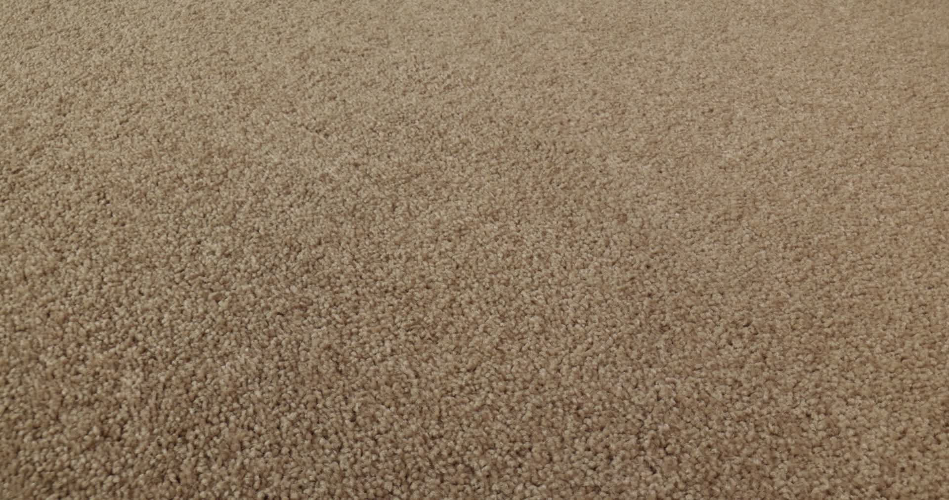 NEWBERN CLASSIC 12' DUSTY TRAIL 360PROD