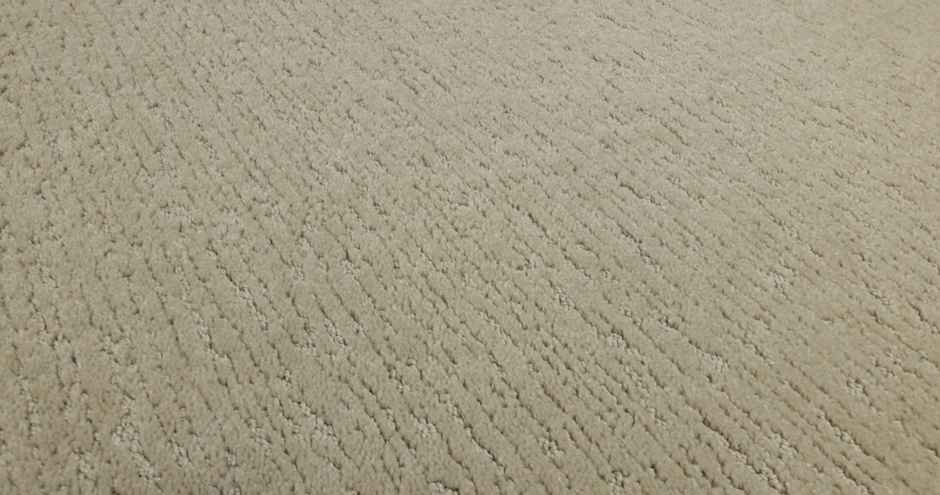 SKETCH OAK RIDGE 360PROD