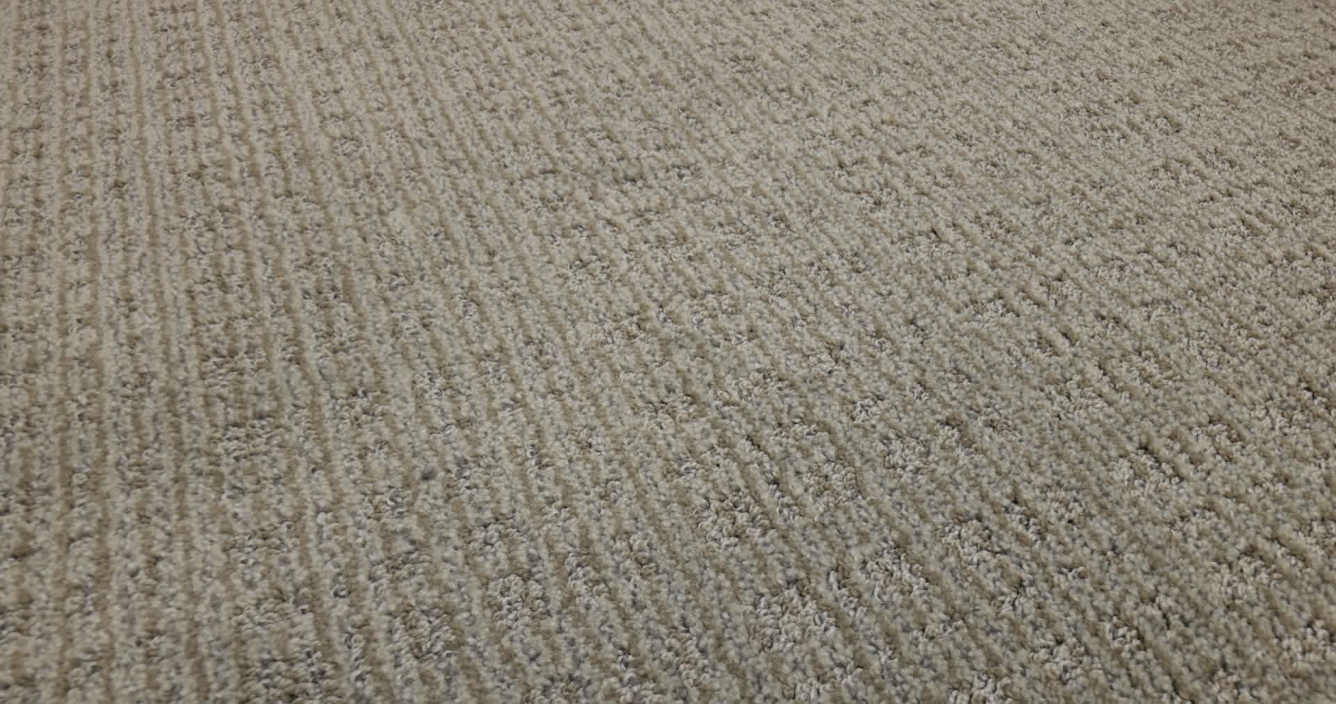 PURRSUASION URBAN JUNGLE 360PROD