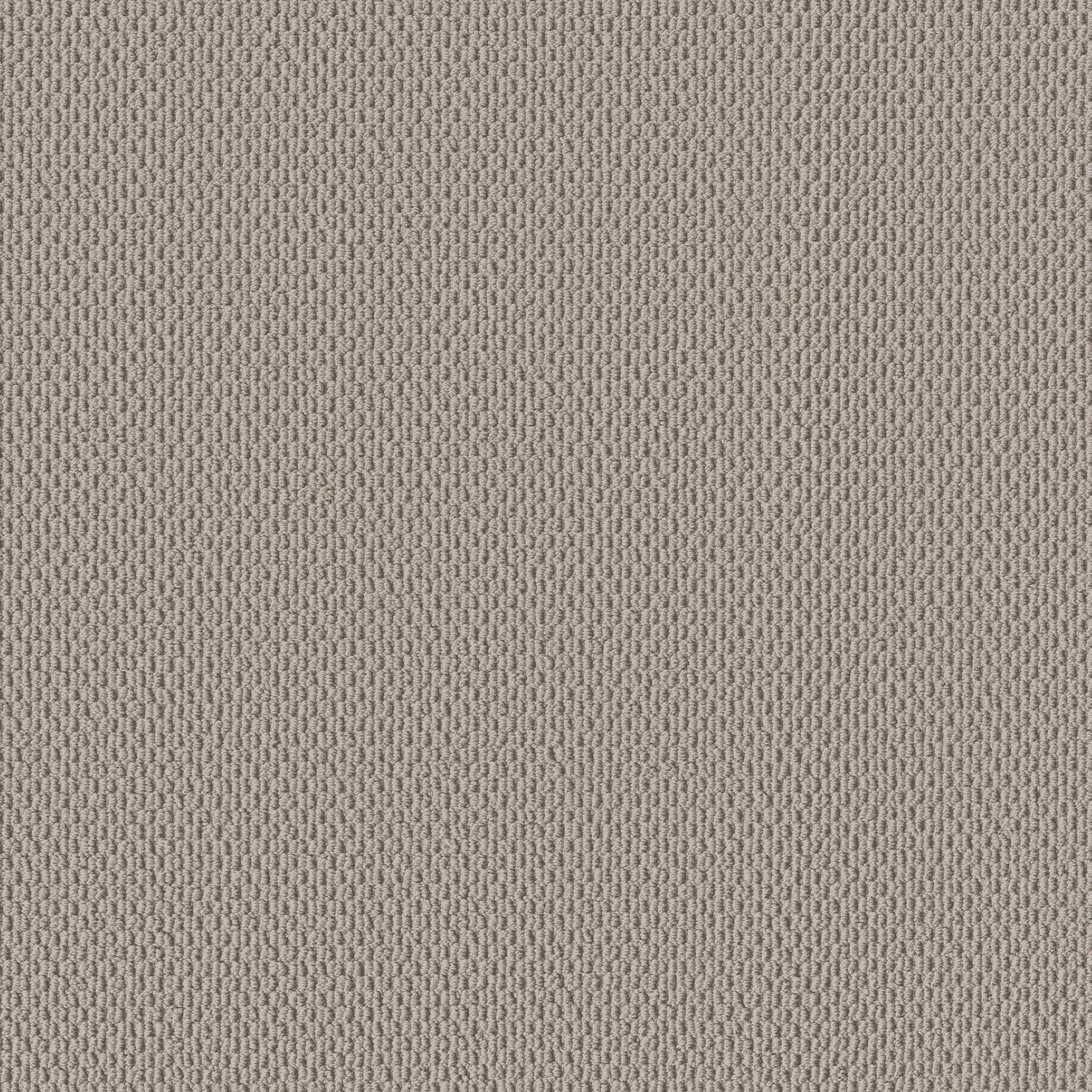 PERSPECTIVE PATH SHELL MAIN