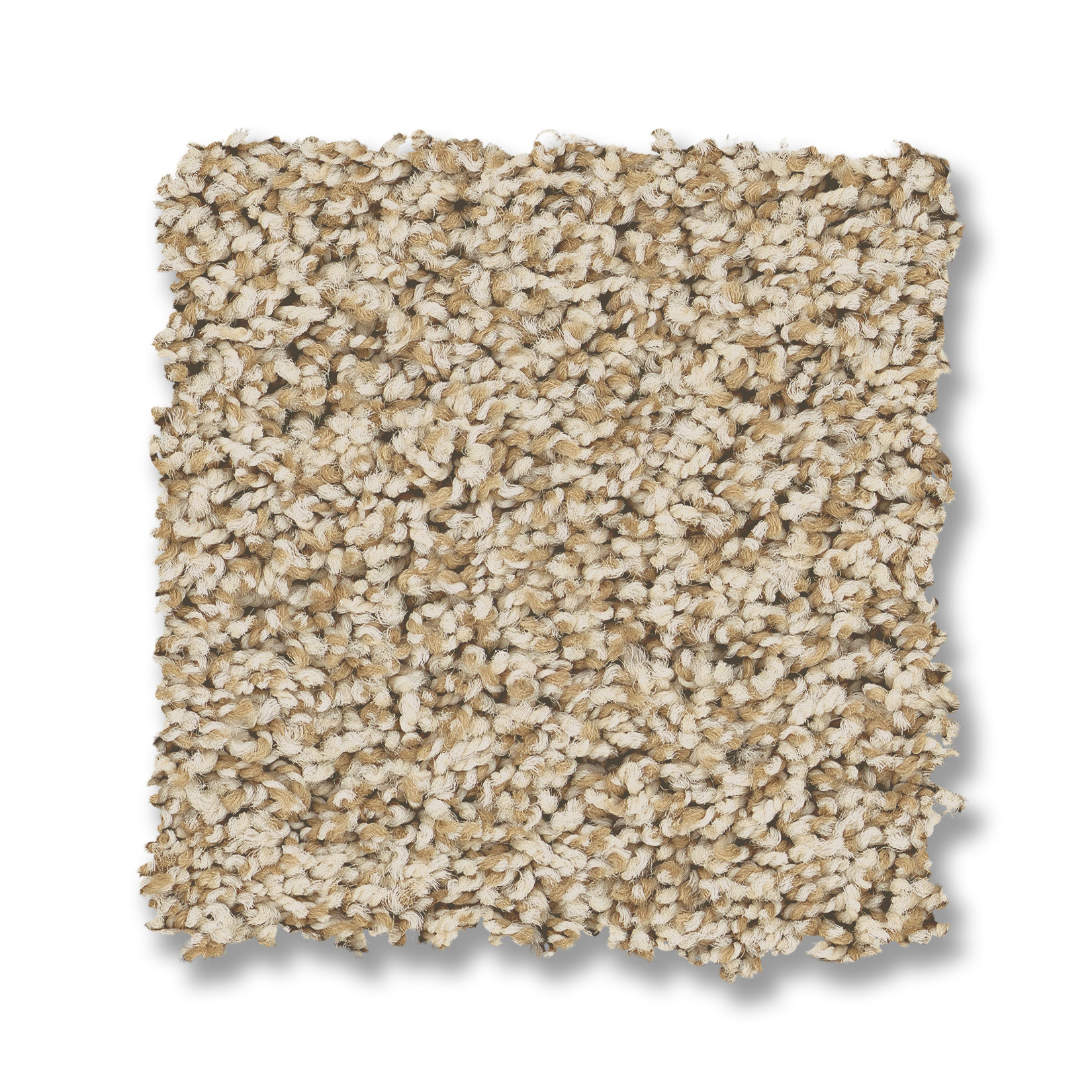TERRA NOVA BEACH GRASS SWATCH