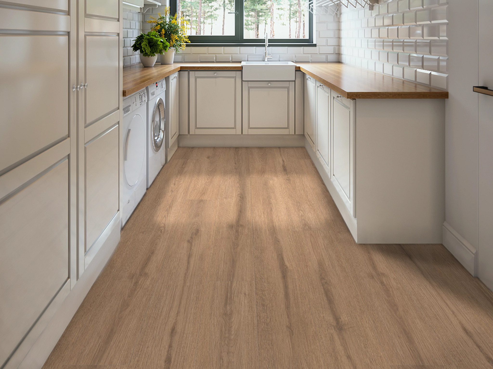 ASCENT NB DWELL ROOM